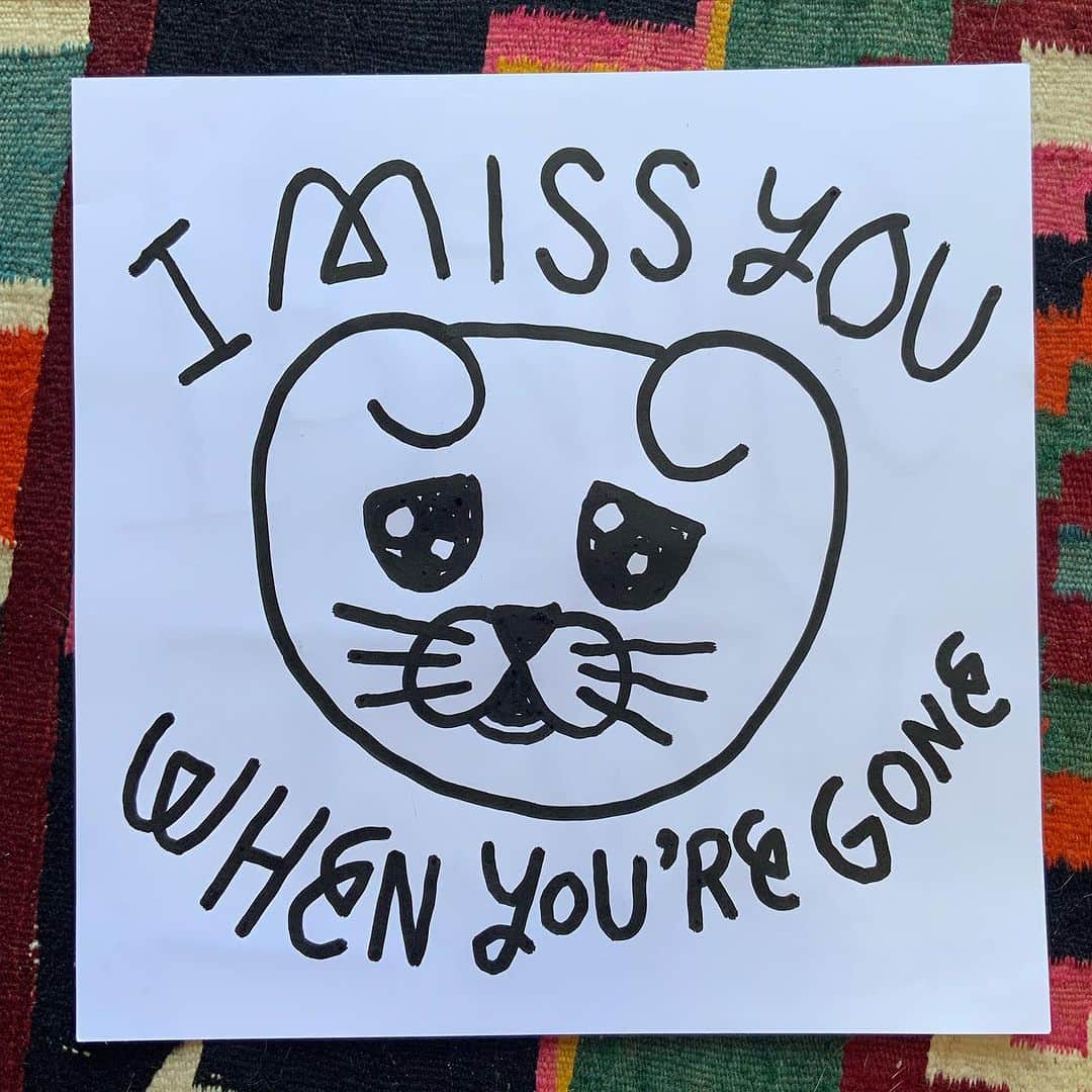 Jason G. Sturgillのインスタグラム：「You’ve never heard a cat talk so much as Cheeto when we come back from a trip.」