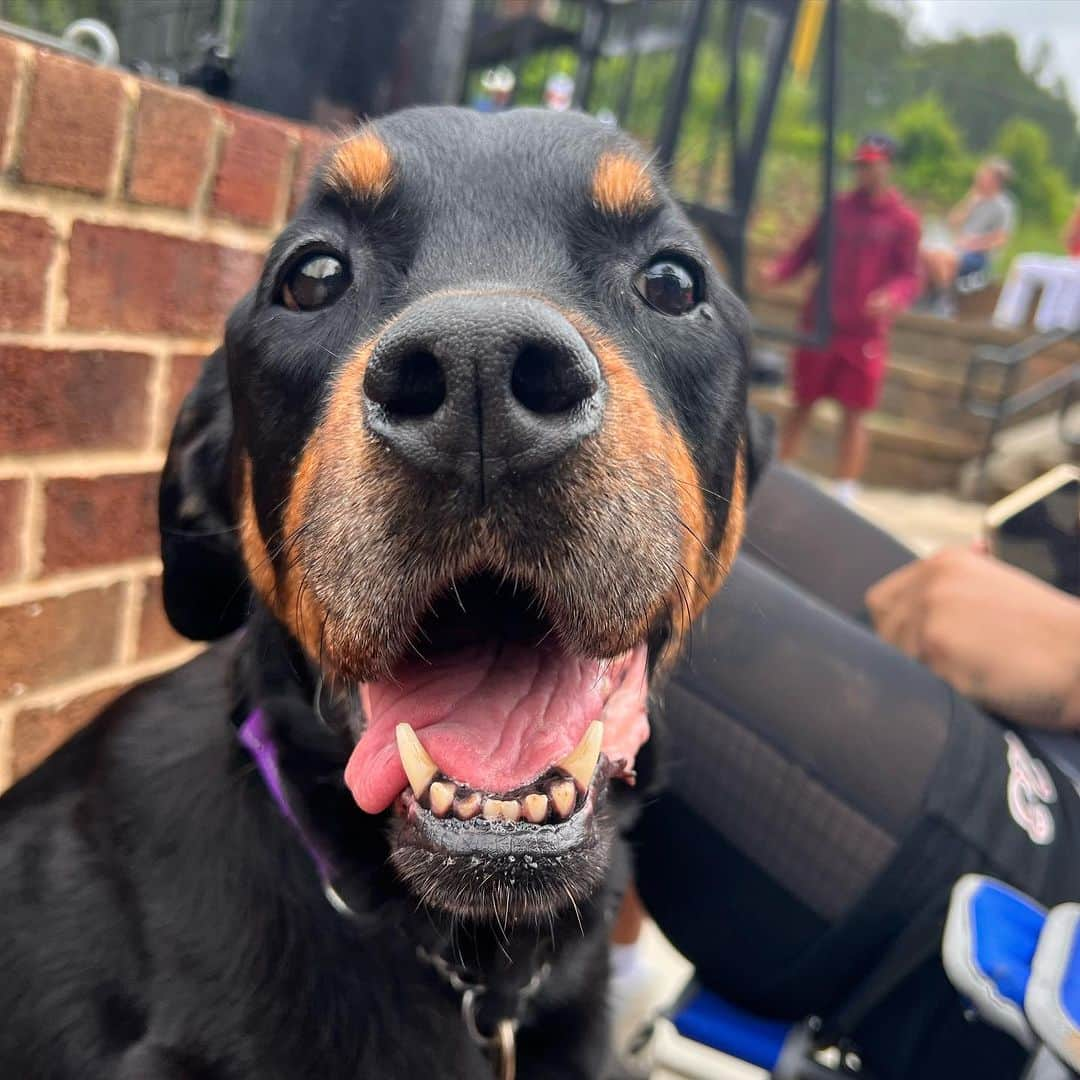 カルロス・ブーザーさんのインスタグラム写真 - (カルロス・ブーザーInstagram)「Throwing 🔥 All Morning Long!!!!  @carmaniboozer2024 #holdat And Bella Enjoyed Every Minute!!!!」7月11日 2時18分 - mrcbooz