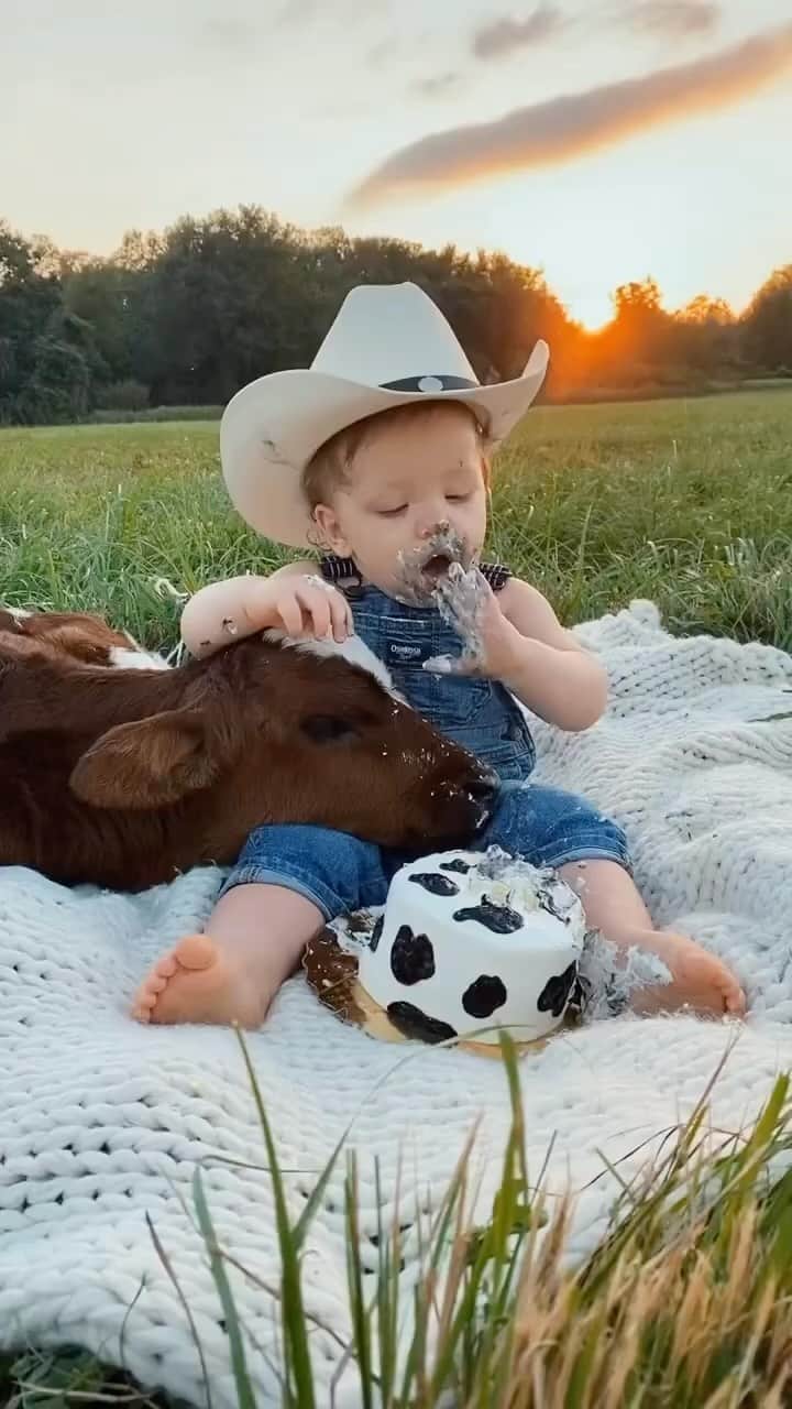 Cute baby animal videos picsのインスタグラム：「Cuteness overload!!😍 •TAG SOMEONE!🤩 •Follow me (@bebisvideo ) for more.  •Via: 📸 @docilecows DM for removal🙏🏻 - - - - - - #baby #instababycute #babygirl #babyboy #adorablebabyboy #babyfever #babyshower #babysmiling k#babiesofinstagram #babies #babiesofinsta #babiesbabiesbabies #babiesanddogs #sleepybabies #babiesblink #babylifestyle #babyofinsta #babycute💋 #cute #awesome #familyiseverythingtome」