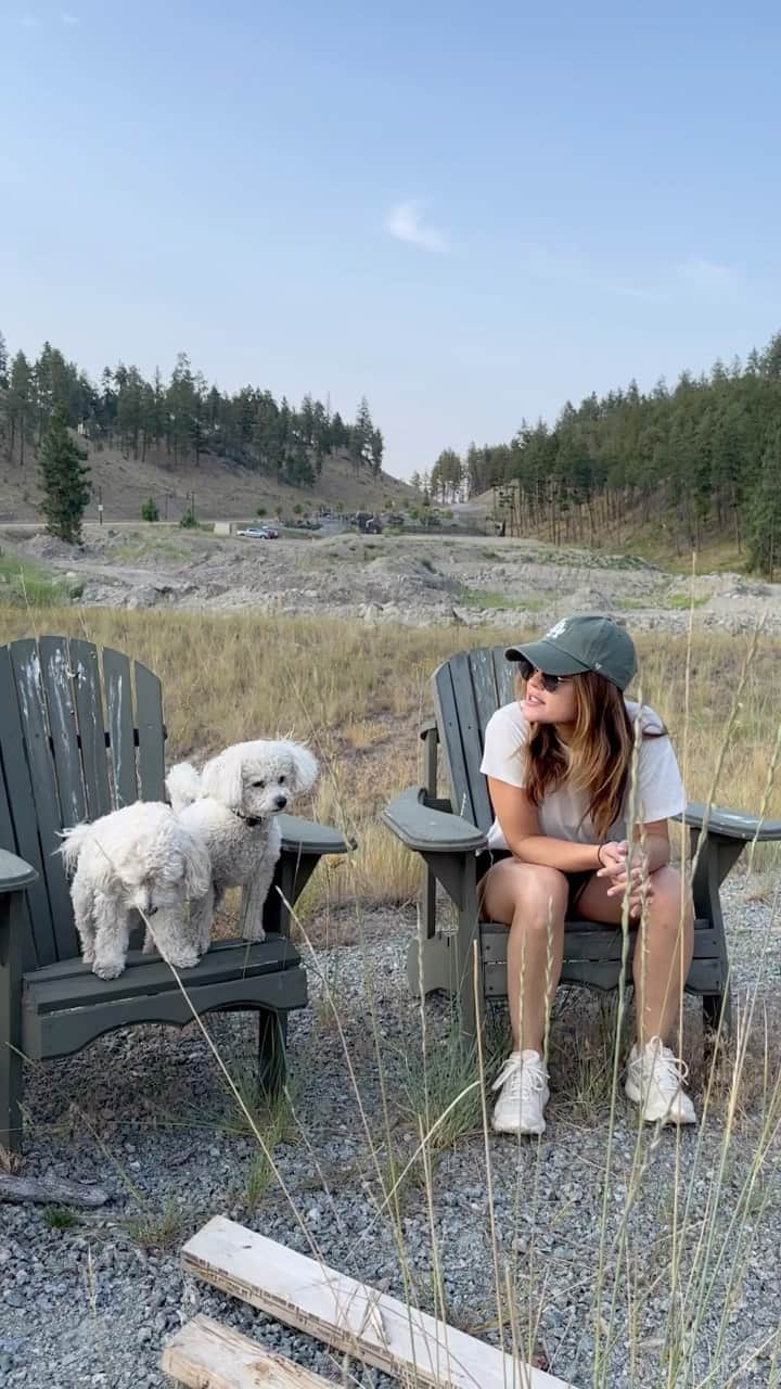 ルーシー・ヘイルのインスタグラム：「My dogs are my babies and a constant source of unconditional love and joy, that is why pet adoption is so close to my heart. This week is @petsmartcharities National Adoption Week and I’m partnering with @petsmart to help as many adoptable pets find lifelong loving homes. Learn more at petsmartcharities.org or visit your local PetSmart store this week and find joy and companionship by giving a pet in need the home they deserve! ♥️ #adoptlove #petsmartpartner #anythingforpets」