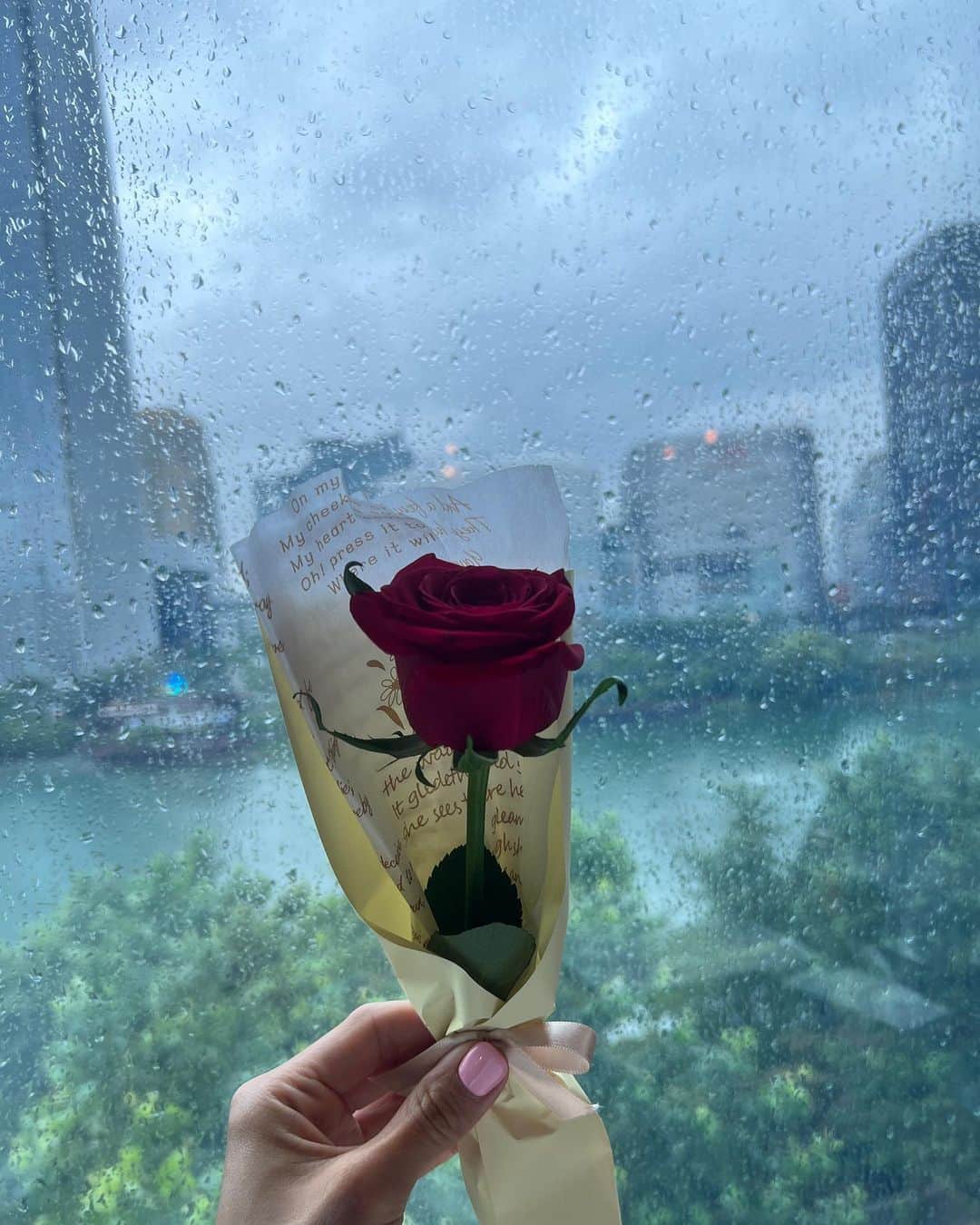ワン・ビンナさんのインスタグラム写真 - (ワン・ビンナInstagram)「비오는 날에 빨간 장미를 선물해준 그녀와 비오는 날에 맛난 점심을 사준 그녀❤️」7月11日 15時11分 - bitnawang