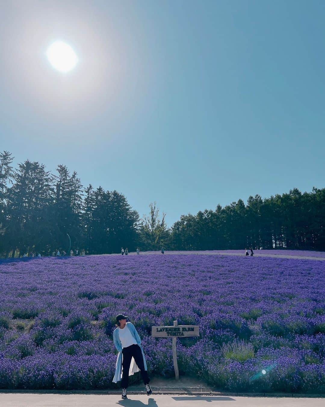 柚希礼音のインスタグラム：「.  北海道富良野で ラベンダー畑 いってみた😌 なんだか 映えました🌱🌱🌱  . 北海道も 暑かった😀😀  . さて 今から撮影 いこおっと❤️❤️  . #北海道 #富良野 #ラベンダー #柚希礼音」