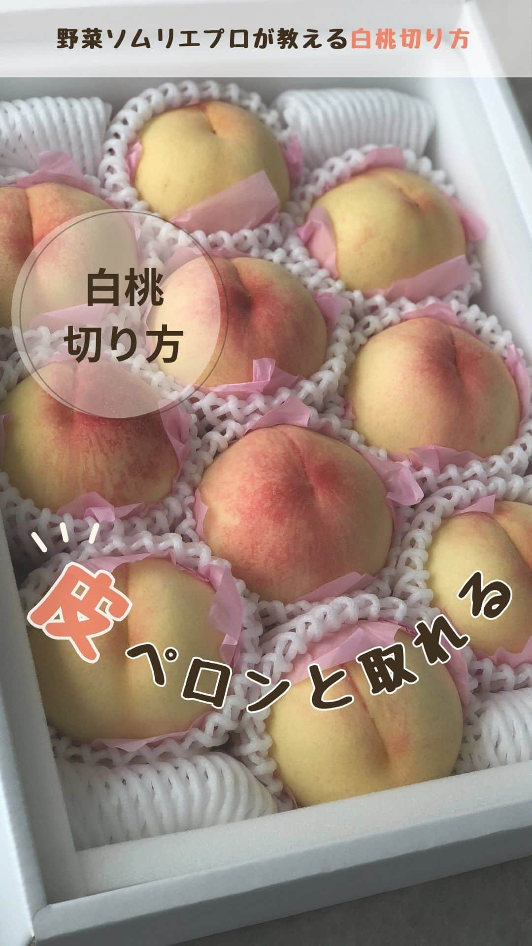 菅野広恵のインスタグラム：「🍑白桃切り方🍑 —— 野菜ソムリエプロで、野菜果物は オタクだけど、、、 お料理は苦手な😱 2児のママの私でも出来た 白桃を綺麗に切る方法🍑🍑🍑 料理苦手さんでも簡単に切れます💛 -——  🍑切り方🍑 ①白桃を軽く洗いふきます。 ☝️白桃は普通の桃と違い産毛が少なく皮が薄いので軽くで大丈夫🙆‍♀️  ②桃の線に沿って包丁を入れてぐるっと切ります。  ③少し包丁で同じ部分をギコギコします。  ④白桃を持ち、切った部分をぐるぐる回転させるようにすると、パカッと割れます♪  ⑤白桃を食べる大きさに切り、皮の端を優しく持ちぺろっとすると、スルッとむけます^_^  🍑POINT🍑 ☑︎白桃は普通の桃と違い、皮が薄いので 手でむけるため、果汁が出てしまいにくく 余すとこなく食べやすい♪  ☑︎白桃は皮が薄く、産毛も少ないので、皮ごとでも食べれる果物🙆‍♀️  —— こちらの白桃は 岡山県倉敷市で減農薬で白桃を作り続ける 「果樂」さんが作る白桃です。 現在　@  より販売中🍑 ——  #野菜のある生活  #果物のある暮らし  #野菜生活　#野菜が好き  #野菜を食べよう  #旬野菜　#旬の食材  #知って得する  #豆知識　#野菜ソムリエ　#野菜ソムリエプロ  #白桃　#果物大好き  #節約生活  #2児のママ  #ワーママの日常  #子育てママ  #料理苦手主婦  #不器用 #0歳児ママ　#2児のママ」