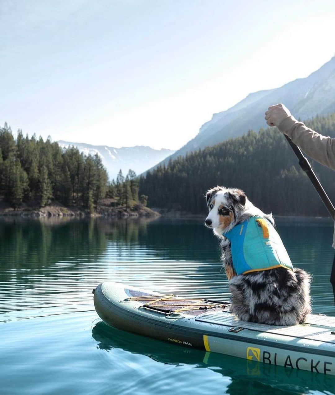 Bolt and Keelのインスタグラム：「There’s nothing better than a day at the lake 🏔️ 🐾 🌊  @adventrapets ➡️ @carl.explores  —————————————————— Follow @adventrapets to meet cute, brave and inspiring adventure pets from all over the world! 🌲🐶🐱🌲  • TAG US IN YOUR POSTS to get your little adventurer featured! #adventrapets ——————————————————」