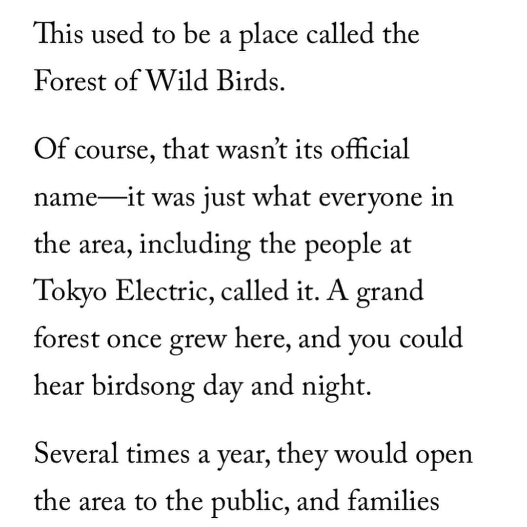 小林エリカのインスタグラム：「On the eve of the official publication “Sunrise: Radiant Stories” Excerpt “THE FOREST OF WILD BIRDS” at @literaryhub  ERIKA KOBAYASHI (TRANS. BRIAN BERGSTROM) @asa_no_burei   短編集「SUNRISE -Radiant Stories-」に収録されている「野鳥の森1F」の英訳がLit Hubに掲載されています！明日が発売日！  “The Forest of Wild Birds”  Excerpted from “Sunrise: Radiant Stories” by Erika Kobayashi, translated from the Japanese by Brian Bergstrom. Published by Astra House. @astrahousebooks  Text copyright © 2023 by Erika Kobayashi. Translation copyright © 2023 by Brian Bergstrom.」