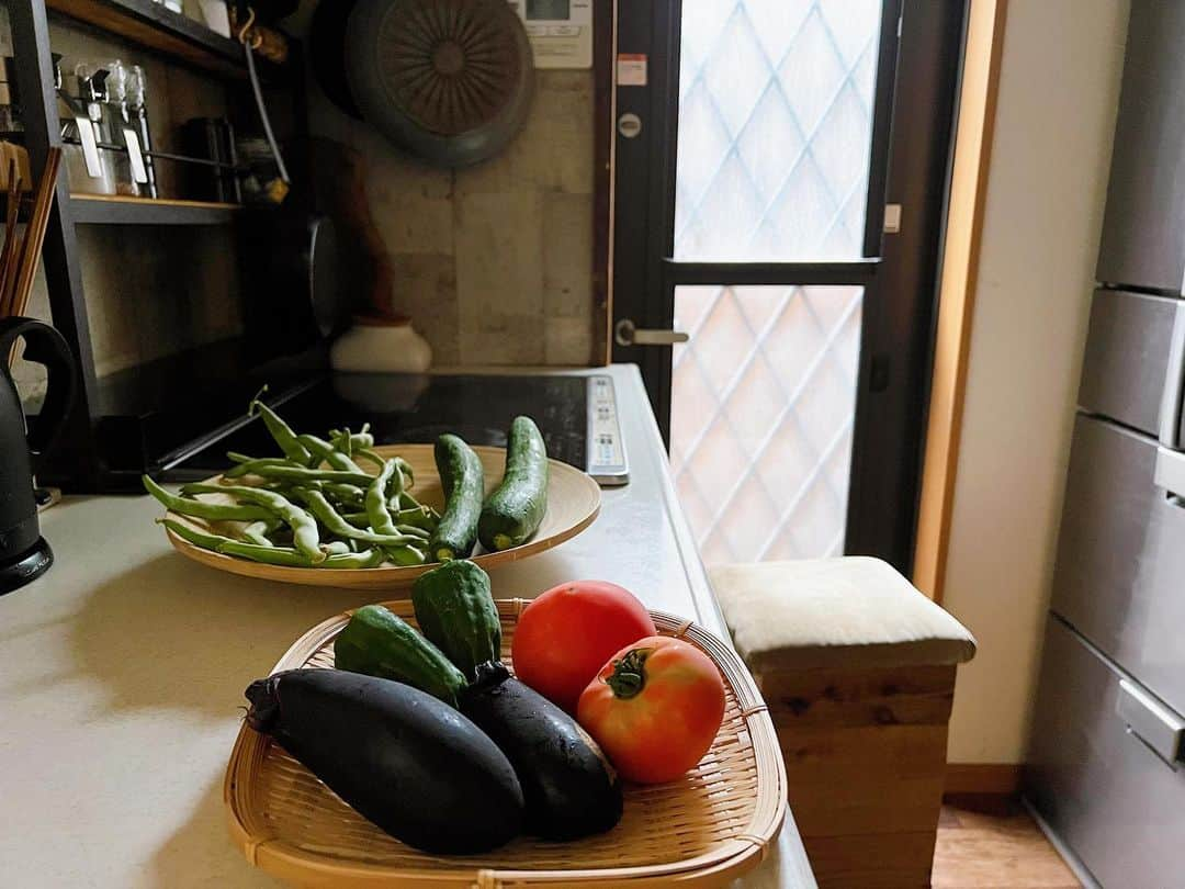 ranranさんのインスタグラム写真 - (ranranInstagram)「実家の畑で取れた夏野菜達  インゲンとナスが苦手な子ども達は 鼻をつまみながら息止めて もはや飲み込む勢いで食べてます😅  豚汁にしたら何でも食べるのに🥴  今日から2リットル分の水筒持って行ったけど 足りるかなぁ〜  #暮らし#夏野菜#自給自足#田舎暮らし#畑#野菜#家庭菜園#暮らしを彩る#台所#キッチン#キッチン収納#建売住宅#スパイスラック#調味料ラック#こどもと暮らす」7月11日 8時15分 - tomooo.25