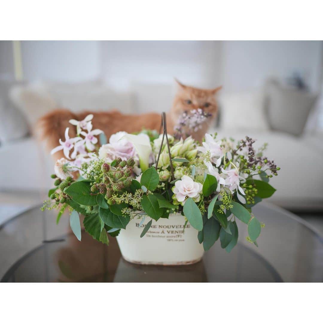 石井美保のインスタグラム：「エルスールさんのお花にまた会えた😌 Thank you @kitowafragrance」