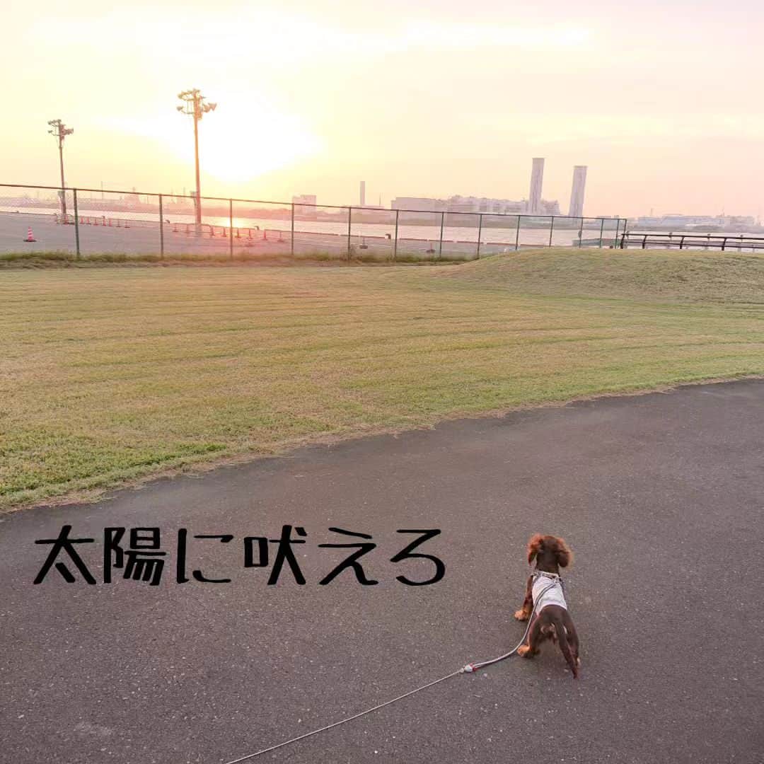くるみんのインスタグラム