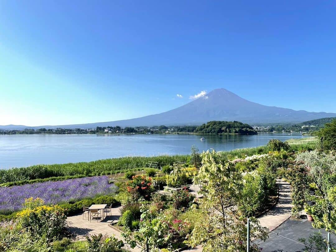 依田司さんのインスタグラム写真 - (依田司Instagram)「7月11日(火) 山梨県富士河口湖町にある大石公園から。 こちらでは3000株のラベンダーが見頃となり、今朝の中継時が今年1番良い状態とのことでした。ラベンダー畑というと株と株の間に隙間があり、少々見栄えが良くないのですが、こちらは長年の経験もあり隙間なくびっしりと植えられており、まるで紫の絨毯のよう。ここのウリはなんといっても富士山との共演。雪の無い夏姿の富士山とラベンダー、絵になります。早朝5時には50人以上の方がカメラ片手に訪れていました。ラベンダーフェスの行われる17(月)までの期間限定。「ラベンダーのおしぼり」や「ラベンダーピロー」など、グッズも豊富です。  #大石公園 #ラベンダー #GAP #ギャップ #依田さん #依田司 #お天気検定 #テレビ朝日 #グッドモーニング #気象予報士 #お天気キャスター #森林インストラクター #グリーンセイバーアドバンス #プロジェクトワイルド #IPCC伝導者 #japan #japantrip #japantravel #unknownjapan #japanAdventure #japanlife #lifeinjapan #instagramjapan #instajapan #療癒 #ilovejapan #weather #weathercaster #weatherforecast」7月11日 9時22分 - tsukasa_yoda