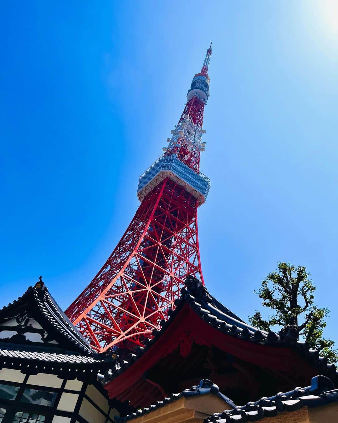 千秋のインスタグラム：「朝からうだるような暑さ。 外を歩くだけで倒れそうです。 柄にもなく「みなさん、気をつけて」と言いたくなる。 見上げればいつもの東京タワー🗼 君はもっと暑いだろうね🌞」