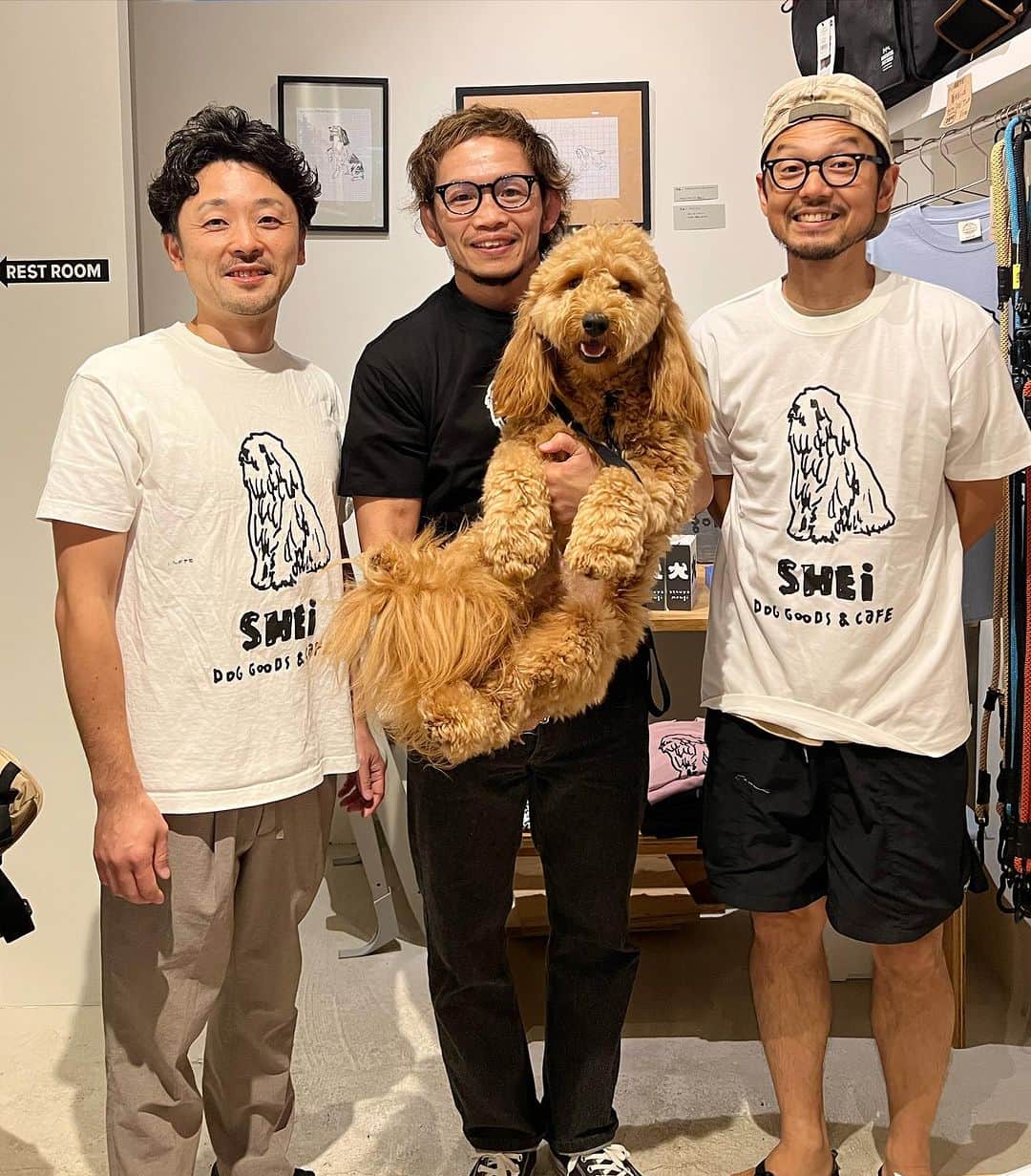 宇野薫のインスタグラム：「@shei_yokohama で開催中 舞木和哉さん犬展にお邪魔しました!  KOAがモデルのSHEiオリジナル Tシャツを着てパチリ📷  舞木さんの犬本📕にKOAを描いてもらっちゃいました!!  @shei_yokohama 犬展は 16日日曜日までです。」