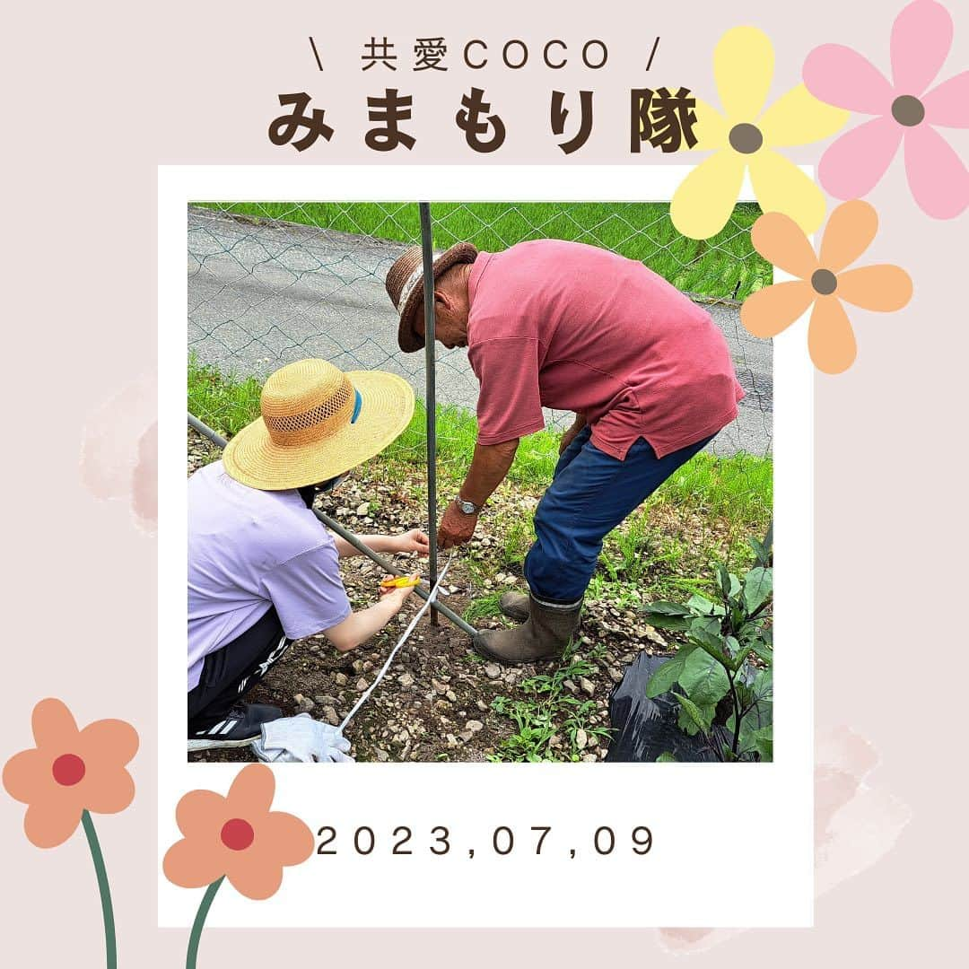 共愛COCOさんのインスタグラム写真 - (共愛COCOInstagram)「今回のみまもり隊では、わらび畑の草むしりと畑の柵たてを行いました！ 雨天になるかと思いましたが、カラッと晴れた日になり、汗だくになりながら作業をしました🥵 しかし、晴れた日だからこそ平出の豊かな自然を堪能することができたので、非常に楽しかったです♪ 私は今回が初めてのみまもり隊参加だったのですが、作業を終えたあとの達成感と共にやりがいをとても感じる一日となりました！ 次回のみまもり隊も頑張りたいです！！  国際コース 1年 浅見 未来  HP： https://www.kyoaicoco.com #共愛学園前橋国際大学 #共愛COCO #kyoai  #みなかみ #水上 #minakami #群馬県 #群馬 #gumma #みまもり隊 #平出 #平出集落」7月11日 11時05分 - kyoaicoco