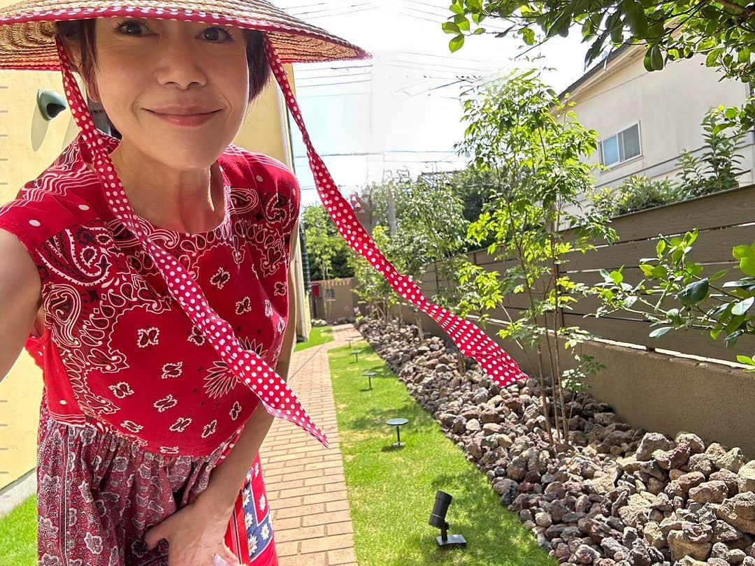 神野美伽さんのインスタグラム写真 - (神野美伽Instagram)「7月11日  みなさん おはようございます  今日も 暑い一日が始まりました  九州では 豪雨が続き 本当に気の毒なことになっていますが  東京は 猛暑で雨が降らず 庭の植木　花　芝も 干上がってしまいます  朝から かなり時間をかけて 庭に水撒きしました  外に居たら居たで 風も渡り 気持ちが良いものですが さすがに汗だくで 朝からまたシャワーをしたり 大忙しです  先日 造園屋さんに 改造してもらった お庭の様子 少しお分かりになりますでしょうか？  富士山の溶岩石を 4トン 庭に敷きました  かなり ワイルドで 個性的なお庭が出来ました 大事に 手入れをして行きたいと思います  今日は ピアニストの クリヤマコトさんと 9月のコンサートの打ち合わせをします  いよいよ！ と言う気持ちになって来ました  あ！  写真は  カールおばさん では ございません  悪しからず（笑）  #猛暑　#水撒き　#シャワー　#庭　#手入れ　#富士山　#溶岩石」7月11日 11時15分 - mika_shinno_japan