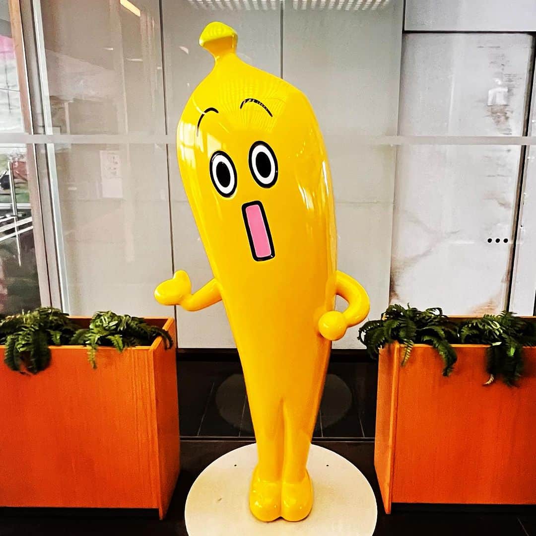 浅岡雄也のグルメインスタ