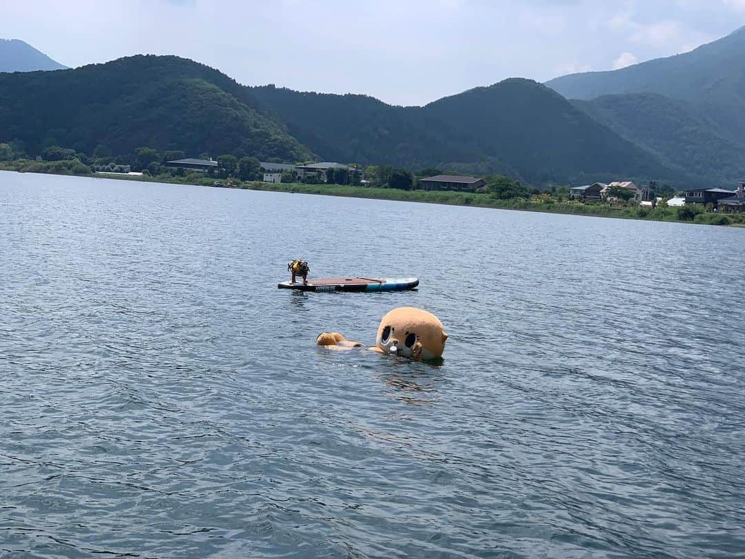 ちぃたん☆さんのインスタグラム写真 - (ちぃたん☆Instagram)「みなさん安心してしてくださいっ☆転覆しただけですっ☆ちぃたん☆ですっ☆  Help me!!! #sos #水浴び #ゆるキャラ #ちぃたん」7月11日 13時07分 - chiitan7407