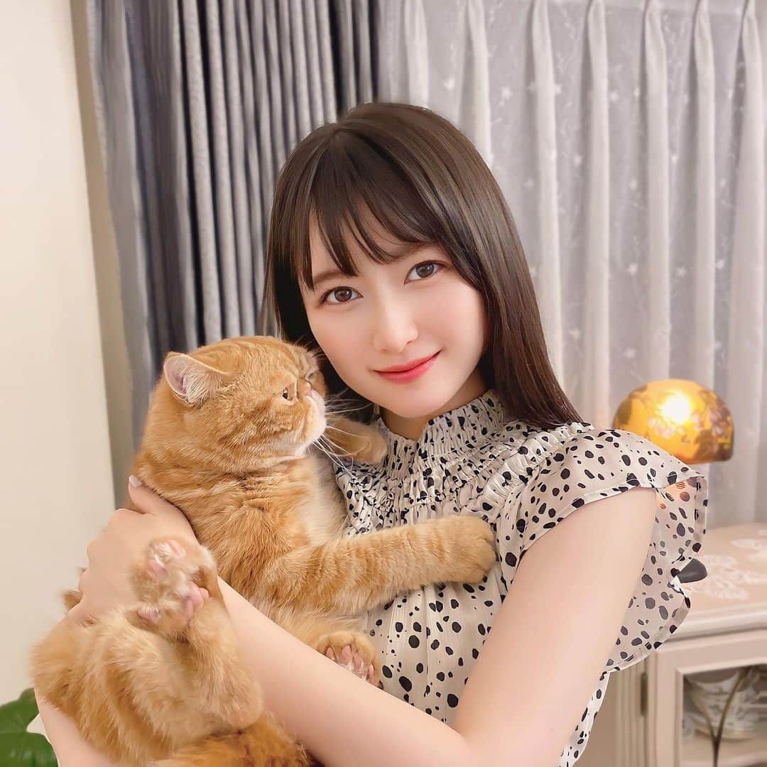 野地優奈さんのインスタグラム写真 - (野地優奈Instagram)「🐈👒🤍 　 仕事に行っている間とかも お留守番してるむぎちゃ🐈の顔が見たいなと思って カメラ付きトイレ"トレッタ"を導入しました😼🫶🏻  猫ちゃんがトイレに入ったら 自動で専用アプリ※に動画が届きます！✉️ その動画がなんとも…！かわいくて…！❤️‍🔥  動画だけじゃなくて 尿量や体重などの健康指標を自動で測定してくれて 簡単に体調管理ができるのがすごい！  これがあれば何かあった時 すぐに異変に気がついて、 すぐに病院で診てもらえたら 病気の早期発見につながるのもいいですよね🥹  多頭飼いの方も、 AIが顔を識別するので首輪など不用です😊  我が家のむぎちゃ🐈は 前のトイレから移行するのに ちょっと時間がかかりそうですが…😅 ゆっくり見守ろうと思います😌  ※ 専用アプリは月額1,480円(1匹あたり)かかります。 動画を見られるサービスなどは 全てこのアプリ上でのみ利用できます。 解約するとアプリ上でのサービスは利用できません。 トレッタ本体は9,980円で、 今(7/11現在)Amazonみたら50%オフセールしてました！  #猫 #猫トイレ #トレッタ #トレッタデビュー #pr #猫のいる暮らし  #ねこのいる生活  #猫スタグラム  #猫との暮らし  #catsofinstagram  #エキゾチックショートヘア  #ねこのいる暮らし  #猫トイレ問題  #ペットカメラ #toletta」7月11日 13時25分 - yediyounai310