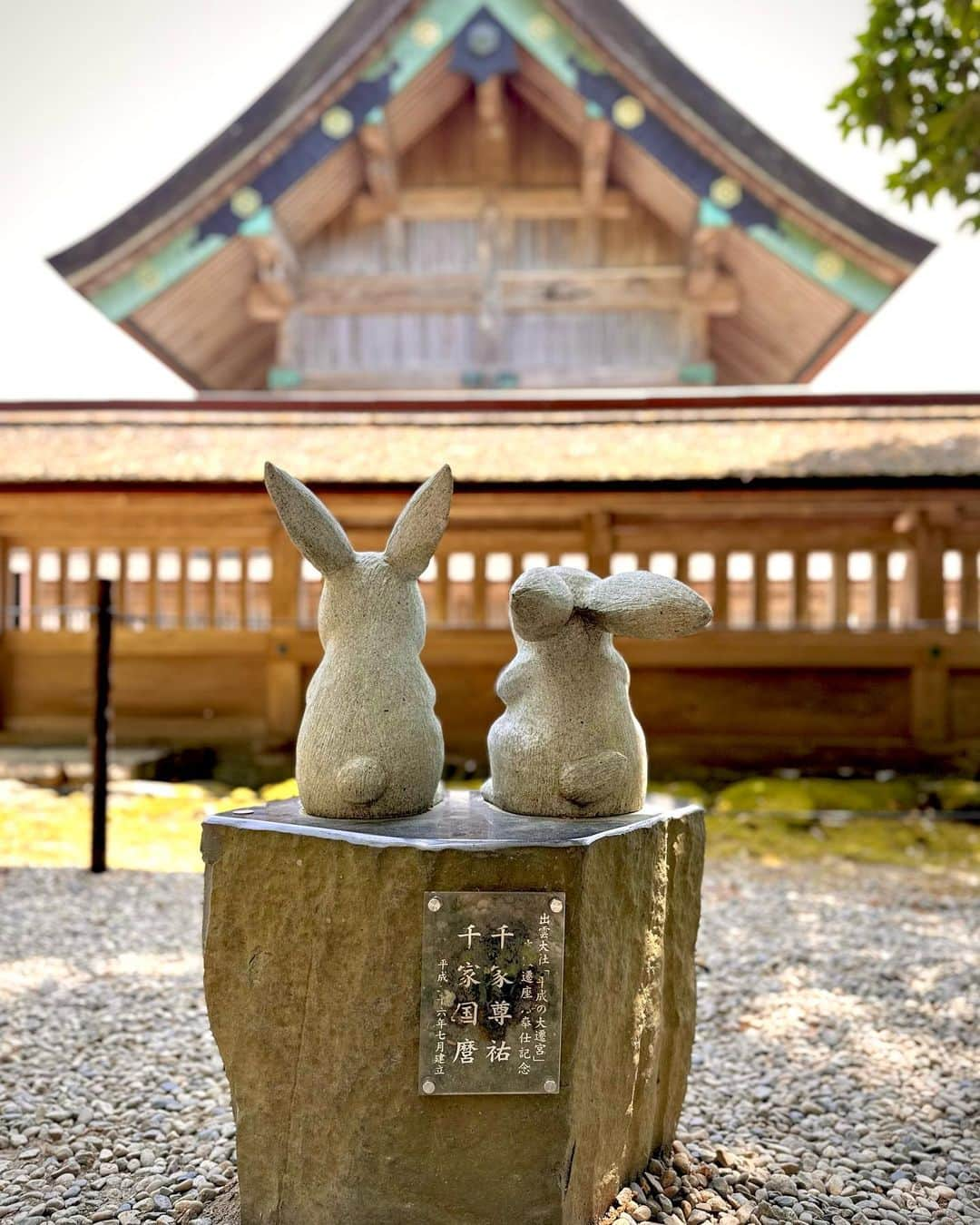 水村リアのインスタグラム：「島根の思い出🫧 ⁡ ⁡ 鳥取に降り立って 一番長く過ごしたのは島根県でした🫣 ⁡ 念願の出雲大社⛩️ こんなに可愛い神社とは知らなかった。 うさぎがいっぱい🐇 晴れていて気持ちの良い天気だったこともあるけど、 空気がとーっても澄んでてスッキリしました🤭 ⁡ ⁡ 帰り道は松江城へ🏯 天守閣まで登って上から見た景色が それはとても綺麗だったんだけど、 途中のフロアでムカデ出没🙄 焦ったー💦 ⁡ 島根もそんなに観光できていないけど 行ってよかった☺️ ⁡ 𓏸꙳⋆⸜⸜˙ 𓏸꙳⋆⸜⸜˙ 𓏸꙳⋆⸜⸜˙ 𓏸꙳⋆⸜⸜˙ 𓏸꙳⋆⸜⸜˙ 𓏸꙳⋆⸜⸜˙ 𓏸꙳⋆⸜⸜˙ #島根県 #出雲大社 #神社巡り #旅行が好き #行った事がない土地に沢山行きたい ⁡ ⁡ ⁡」