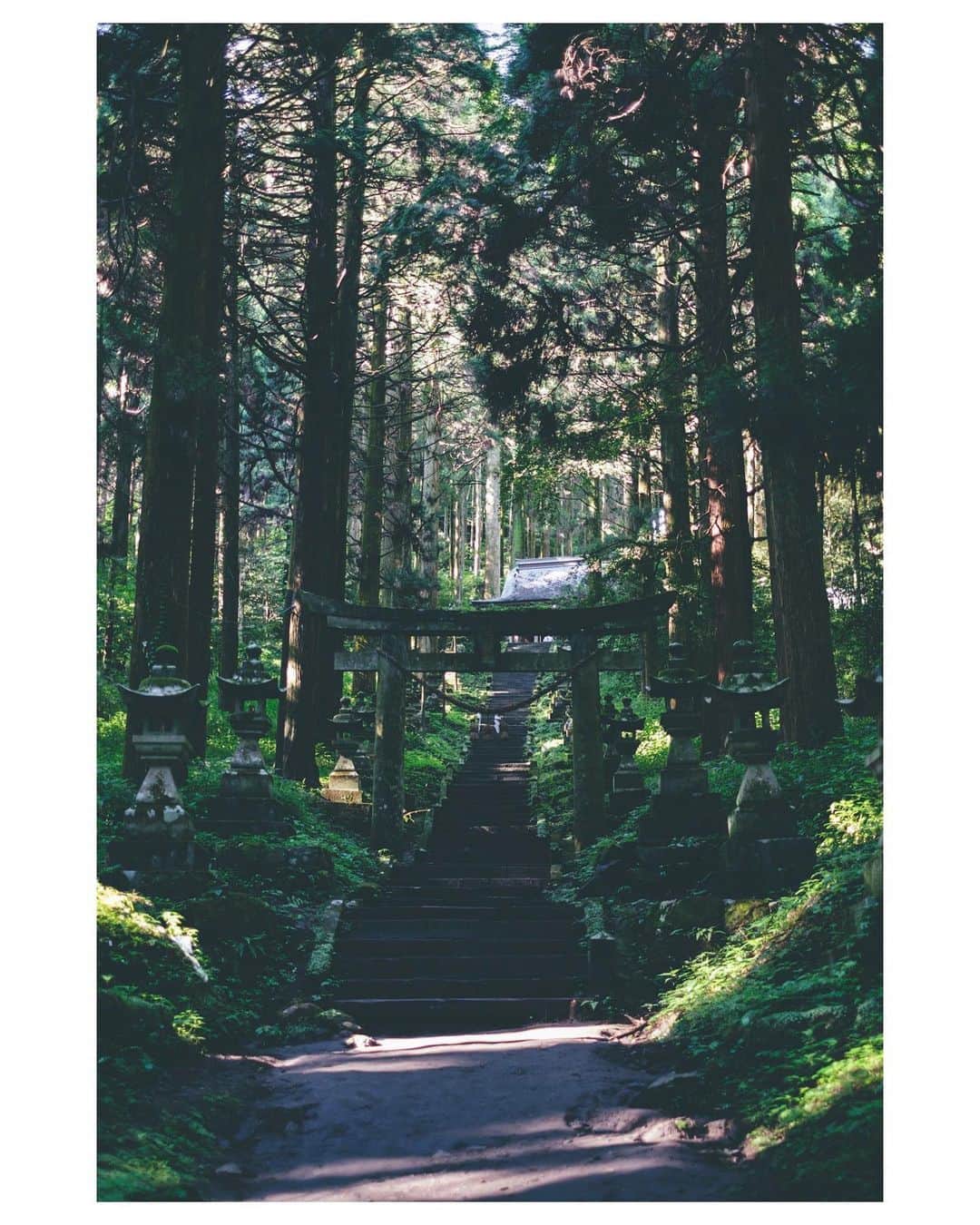 Yuma Takatsukiさんのインスタグラム写真 - (Yuma TakatsukiInstagram)「. . . nature . . . . . . 美味しいもの食べたり きれいな景色を見に行くために旅に行くのか 写真を撮りに行くために旅にいくのか いろんな理由があっていいと思うけど  ⁡ 美味しいものと旅はセットで そこに写真も入ってくるイメージ。 おまけにきれいな景色があるとなおよし。  ⁡ まぁ結局は全部込み込みやった。 最近はきれいな景色を見に行きたい。  ⁡ それでは今日もお疲れさまでした！ . Kumamoto／Japan X-Pro2／XF35mmF1.4 R . . #何の話やねんってね . ―――――――――――――――――――――――――― 関西を中心にフリーランスで活動しています。 Web広告、個人撮影、家族撮影、PR撮影など、 7月以降の撮影依頼募集中です。 ⁡ ⁡Yuma Takatsukiオリジナルプリセットも販売中です。 ⁡プロフィールのポートフォリオサイトからご覧下さい。  またフォトサークルITTOKOという活動をしています。 ⁡ハイライトに色んなイベントをまとめています。 ――――――――――――――――――――――――――」7月11日 23時47分 - yu_umaa06