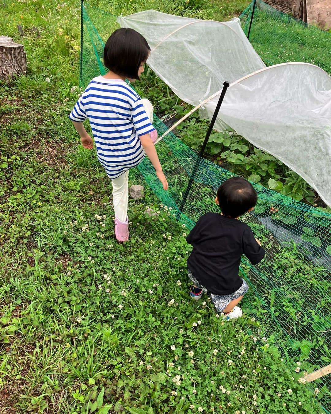 吉田麻衣子さんのインスタグラム写真 - (吉田麻衣子Instagram)「🌲 その瞬間を大切にすることをここ数年で覚えた。 楽しいことやその日その時を次々と消費するのが癖付いていたようで、それはもう東京のせいなのかわからないけど今思い返せば全てが速かった。 でも家族や子供と過ごしていると、いかに私が今まで生き急いでいたかを思い知って、ゆっくりその瞬間を味わうことを意識するようになった。 どちらが良い悪いでもないんだけど。 @backwood.jp を尋ねた後そんなことを改めて考えた。生活のこととか、大切なものとか、大切な人とか、本当に必要なものは？とか。 　 とにかく心地よい時間で、尋ねて来れたことに胸がいっぱいでそんな気持ちをどこかに残したくなった。 　 菅松さん、ありがとうございます。 息子も帰りたくなくて泣いていたくらい 心地よい場所でした。 また必ず。 幸せだな。今も今までも。」7月11日 23時53分 - maiko_yoshida_