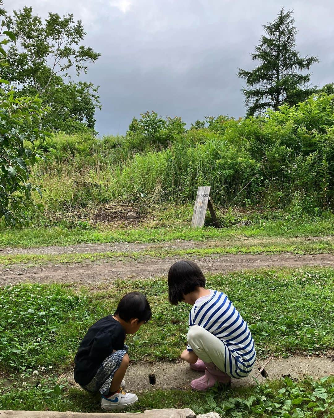 吉田麻衣子さんのインスタグラム写真 - (吉田麻衣子Instagram)「🌲 その瞬間を大切にすることをここ数年で覚えた。 楽しいことやその日その時を次々と消費するのが癖付いていたようで、それはもう東京のせいなのかわからないけど今思い返せば全てが速かった。 でも家族や子供と過ごしていると、いかに私が今まで生き急いでいたかを思い知って、ゆっくりその瞬間を味わうことを意識するようになった。 どちらが良い悪いでもないんだけど。 @backwood.jp を尋ねた後そんなことを改めて考えた。生活のこととか、大切なものとか、大切な人とか、本当に必要なものは？とか。 　 とにかく心地よい時間で、尋ねて来れたことに胸がいっぱいでそんな気持ちをどこかに残したくなった。 　 菅松さん、ありがとうございます。 息子も帰りたくなくて泣いていたくらい 心地よい場所でした。 また必ず。 幸せだな。今も今までも。」7月11日 23時53分 - maiko_yoshida_