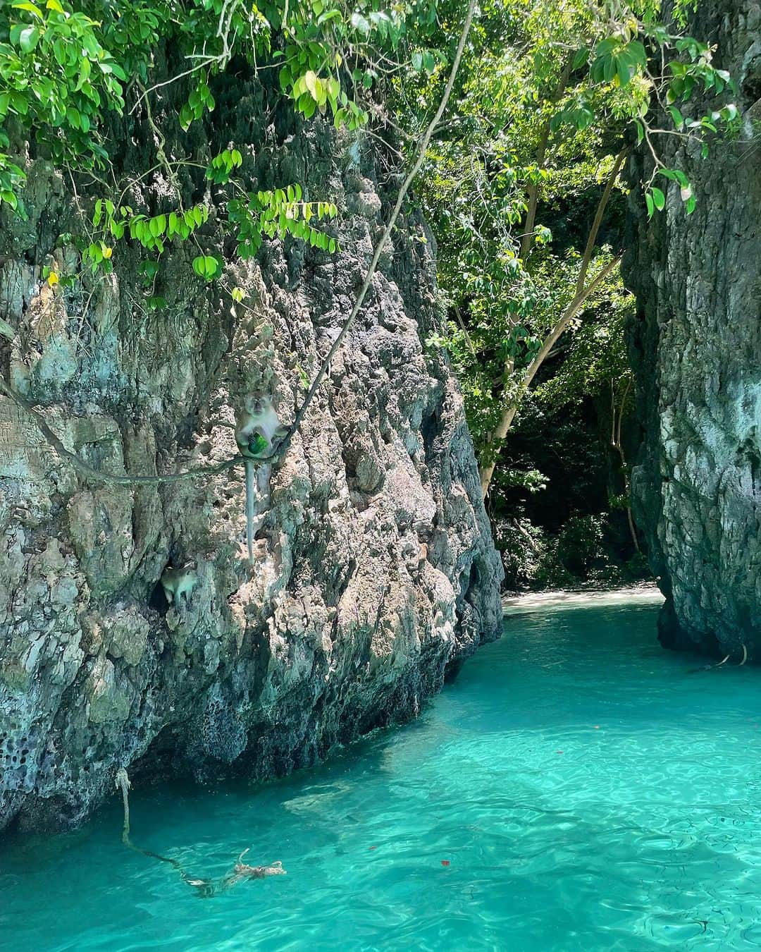 ジェイデン・トア・マクスウェルさんのインスタグラム写真 - (ジェイデン・トア・マクスウェルInstagram)「📍PhiPhi islands 美しい島々。タイを旅行するなら必ず訪れたい。美しい海、素敵な人々、素晴らしい景色。ツアーガイドのSexyCoCoと彼のクルーは最高でした。私の最高のハイライトのひとつです。 A beautiful area of islands. A must visit if your ever traveling to Thailand. Beautiful waters, lovely people and amazing landscape. Our tour guide SexyCoCo & his crew were awesome. One of my best highlights.   #タイ #タイ旅行 #旅行 #トラベル #旅行好き #トラベルライター #タイランド #日本 #🇹🇭」7月11日 15時23分 - jaydentoamaxwell