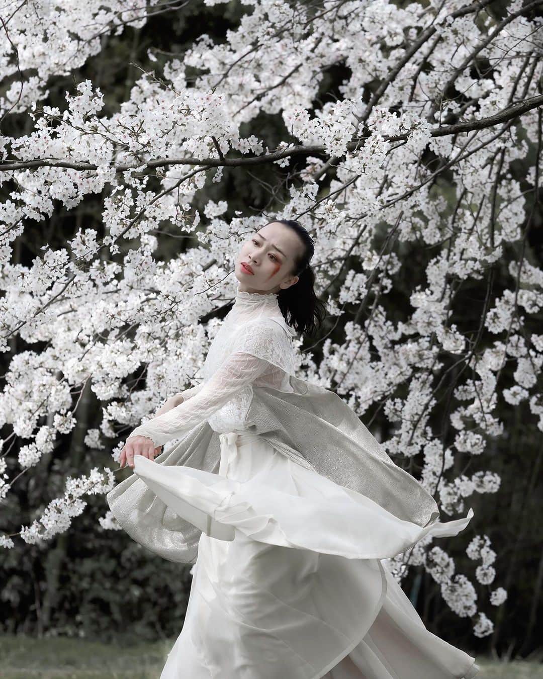 くーまんさんのインスタグラム写真 - (くーまんInstagram)「『爆撃の中で』  満開の桜で空が覆われる頃  彼の地では穏やかに空を眺めることのできない人々がいる  胸を突き刺す不条理な思い  悲しみと希望を願って...  #niigatapic  #team_jp_  #ig_photooftheday  #instagram #icu_japan #igersjp  #tv_living  #tv_soul  #art_of_japan  #reco_jp #transfer_visions #m3xtures  #rsa_mystery  #jj_sombre  #colorsjp #bestjapanpics #good_portraits_world #gataphoto #japan_bestpic_ #Rox_Captures #nipponpic #ig_mood」7月11日 16時29分 - ku__man
