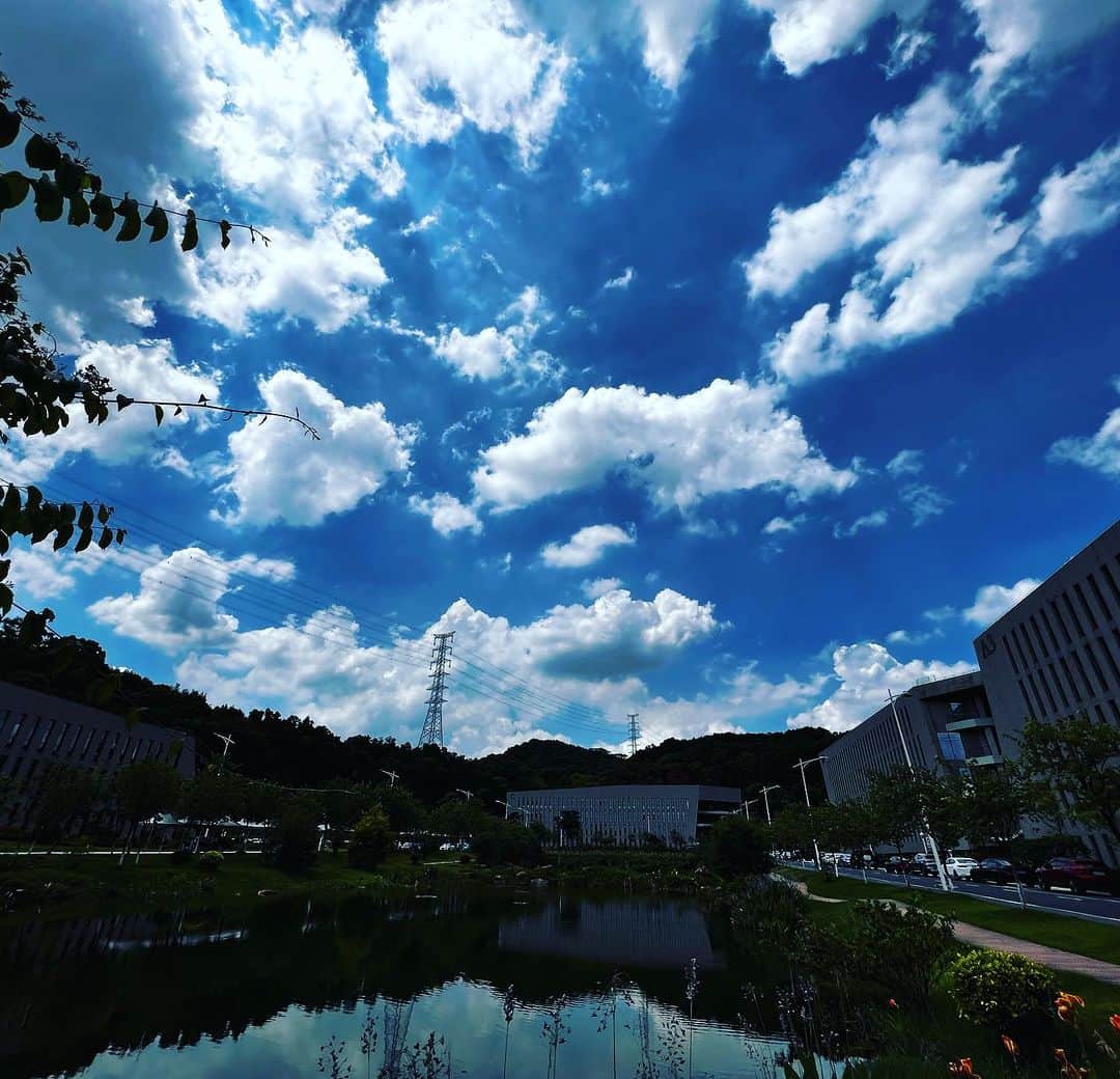 須田剛一のインスタグラム：「This is the NetEase #1 Campus, with its own pond. That last one was the #2 Campus. The average employee age is 29; this place is brimming with youthful vigor.」