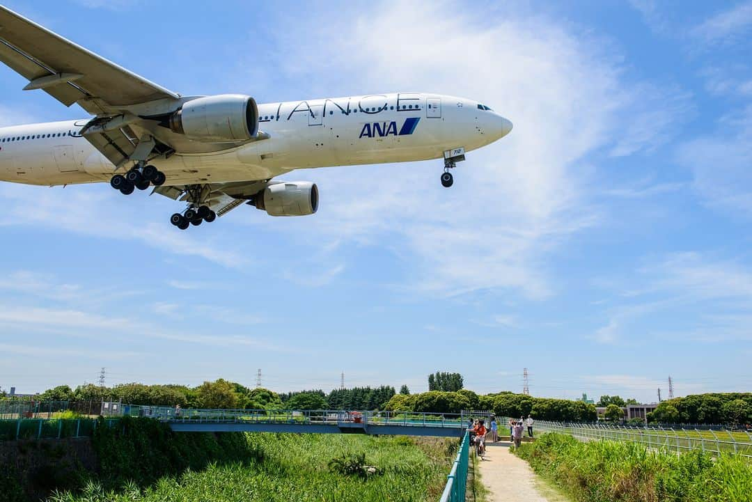 関西電力株式会社のインスタグラム：「＼頭上をかすめる飛行機⛅️／ 本日は、千里川土手から飛行機をパシャリ📸  季節はいよいよ夏休み🍉 今年の夏休みは、久しぶりに飛行機に乗って旅行される方も多いのではないでしょうか。  大阪の千里川土手は、着陸目前の飛行機が頭上をかすめて飛ぶ姿を見ることができます👀 旅行に行かない方も、大迫力の飛行機を見て旅行気分を味わえるかも？🛩  みなさんオススメの関西のスポットがあれば、コメントで教えてください！  #関西電力 #灯りフォト部 #みずいろネット #伊丹空港 #飛行機 #大阪 #千里川土手 #千里川 #日本の絶景 #日本の景色 #関西旅行 #関西観光 #大阪旅行 #大阪観光 #写真好きな人と繋がりたい #カメラ好きな人と繋がりたい」