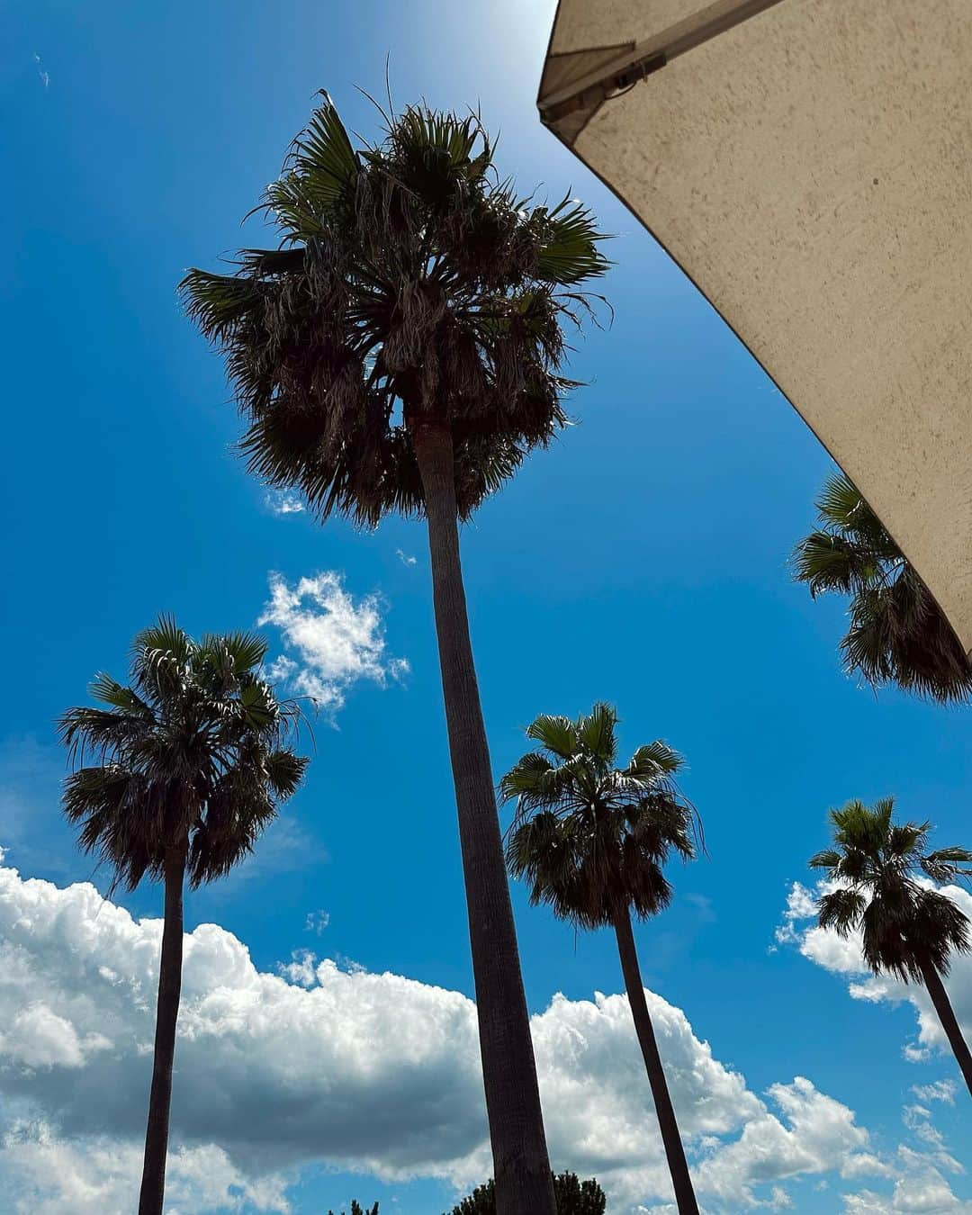 藤田美里さんのインスタグラム写真 - (藤田美里Instagram)「. . 🌞🌴」7月11日 17時05分 - misato.1996