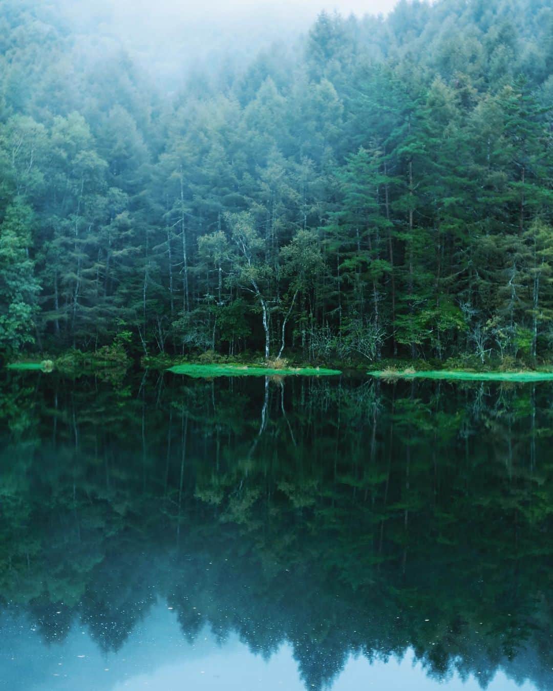 国分真央さんのインスタグラム写真 - (国分真央Instagram)「. Just looking at green is soothes me,  so I like to walk in the forest. 🌲🌲🌲 ⁡」7月11日 17時10分 - mao_kokubu