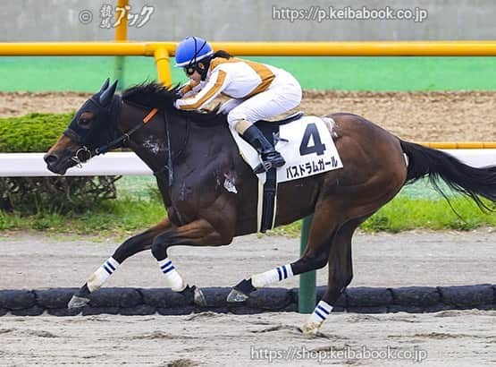 古川奈穂のインスタグラム：「土曜日、日曜日と函館競馬場で騎乗させて頂きました。 乗せてくださった関係者の皆さま、応援してくださった皆さま、ありがとうございました。  土曜日にはバスドラムガール号とルヴェルジェ号で勝たせて頂き、1日2勝することができました☺️ 1日に複数勝したことがなかったので、とても嬉しかったです！ 乗せてくださった関係者の皆様、ありがとうございました！  日曜日は勝ちきれないレースが多かったので、１つでも多く勝てるように今週も頑張ります🐎  #函館競馬場  #バスドラムガール  #ルヴェルジェ   セレクトセールの帰りにみた #綺麗な空  #そらすたぐらむ   写真は 『競馬ブックさん』にお借りしました🙇‍♀️」