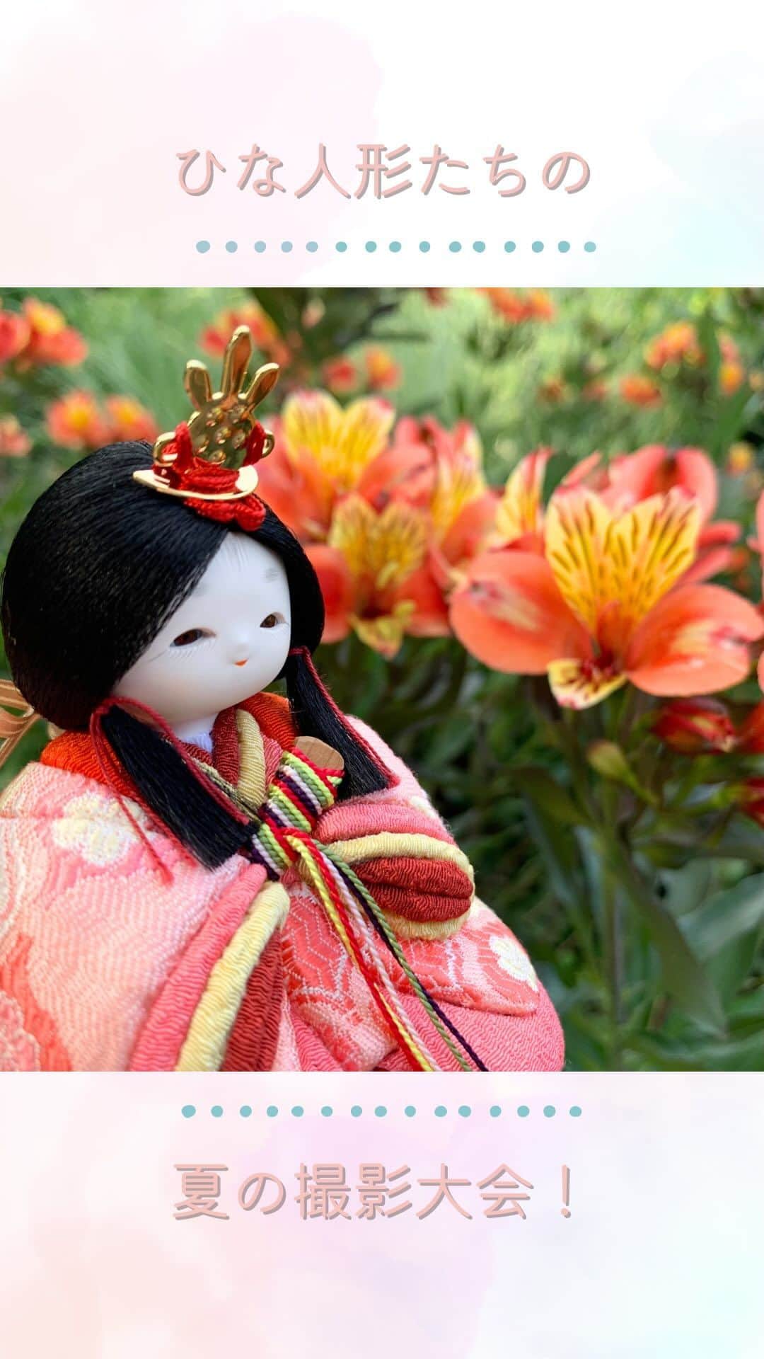 人形工房ふらここ-雛人形 五月人形-のインスタグラム：「ふらここ夏の恒例行事🌻商品撮影！ ずらりと並んだお人形たち、頑張ってくれています📸  撮影した写真は、秋に完成するカタログに掲載予定！ カタログは今から予約できるので、ぜひサイトからチェックしてみてください💫  #ふらここ#雛人形#ひな人形#五月人形#物撮り#撮影#撮影会#お人形#べびすたぐらむ#女の子ママ #女の子ベビー#女の子ベビー予定 #おんなのこママ #おんなのこ #japanese #japanesedoll #japanesedolls #japaneseculture #kawaii」