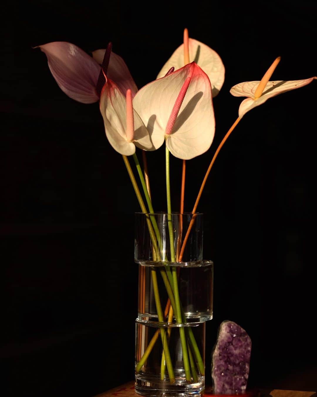 ケリーのインスタグラム：「𝘑𝘶𝘴𝘵 𝘢 𝘴𝘪𝘮𝘱𝘭𝘦 𝘷𝘢𝘴𝘦 𝘰𝘧 𝘧𝘭𝘰𝘸𝘦𝘳𝘴 𝘣𝘳𝘪𝘨𝘩𝘵𝘦𝘯𝘴 𝘶𝘱 𝘢 𝘳𝘰𝘰𝘮 𝘢𝘯𝘥 𝘺𝘰𝘶𝘳 𝘮𝘰𝘰𝘥 𝘵𝘰𝘰 🧡  皆さんはお部屋にお花を飾ったりしますか❓🌝 大人になってからお花を飾るようになって、お部屋の雰囲気も明るくなるし、季節に合わせていろいろお花を飾るのも楽しい💐  花瓶は @livingmotif で購入したものです😌」