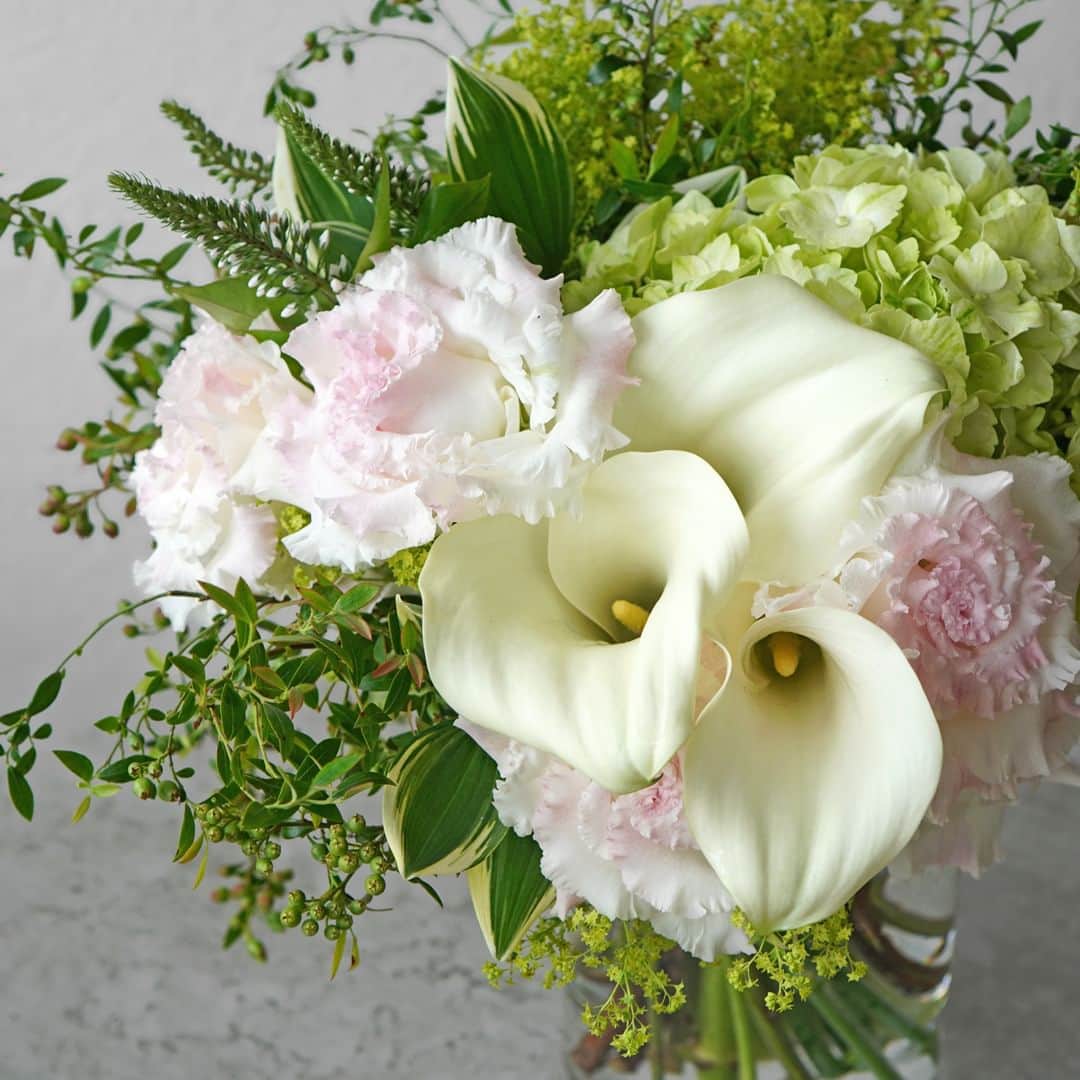 AOYAMA_HANAMOのインスタグラム：「心地よく、爽やかな風感じる花色合わせ。 ・ 白とピンクの複色のトルコキキョウ、クリーム色のカラー、グリーンのハイドランジアなど、淡い色調の花々を上品にまとめた花瓶活け。小さな白い花をつけたオカトラノオ、シルエットの異なる数種のリーフや実ものをバランスよく配し、清涼感のあるデザインに仕上げました。 ・ フラワーデザインに欠かせない存在のトルコキキョウ。 開花したトルコキキョウの脇枝についているグリーンの小さな花を見たことはありませんか？あれは色づく前のつぼみです。 トルコキキョウのつぼみは切り花にしてしまうと、そこから色づいて咲くことはほぼありません。ですが、グリーンの小さなつぼみと花色の組み合わせは他の花にはない美しさがあり、トルコキキョウの魅力の一つでもあります。そんな風情も含めて、トルコキキョウという花を楽しんでいただければと思います。 - - - #aoyamahanamo #青山花茂 #お花のある生活 #花が好きな人と繋がりたい #花を飾ろう #花のある暮らし #花のあるくらし #花のある日常 #癒しの花 #季節の花 #旬の花 #花のサブスク #フラワーサブスクリプション #お花の定期便 #季節の花の定期便 #季節の花の定期便プレミアムプラン #カラー #トルコキキョウ #ハイドランジア #紫陽花 #アジサイ #アルケミラモリス #オカトラノオ #花瓶活け #花束 #ブーケ」