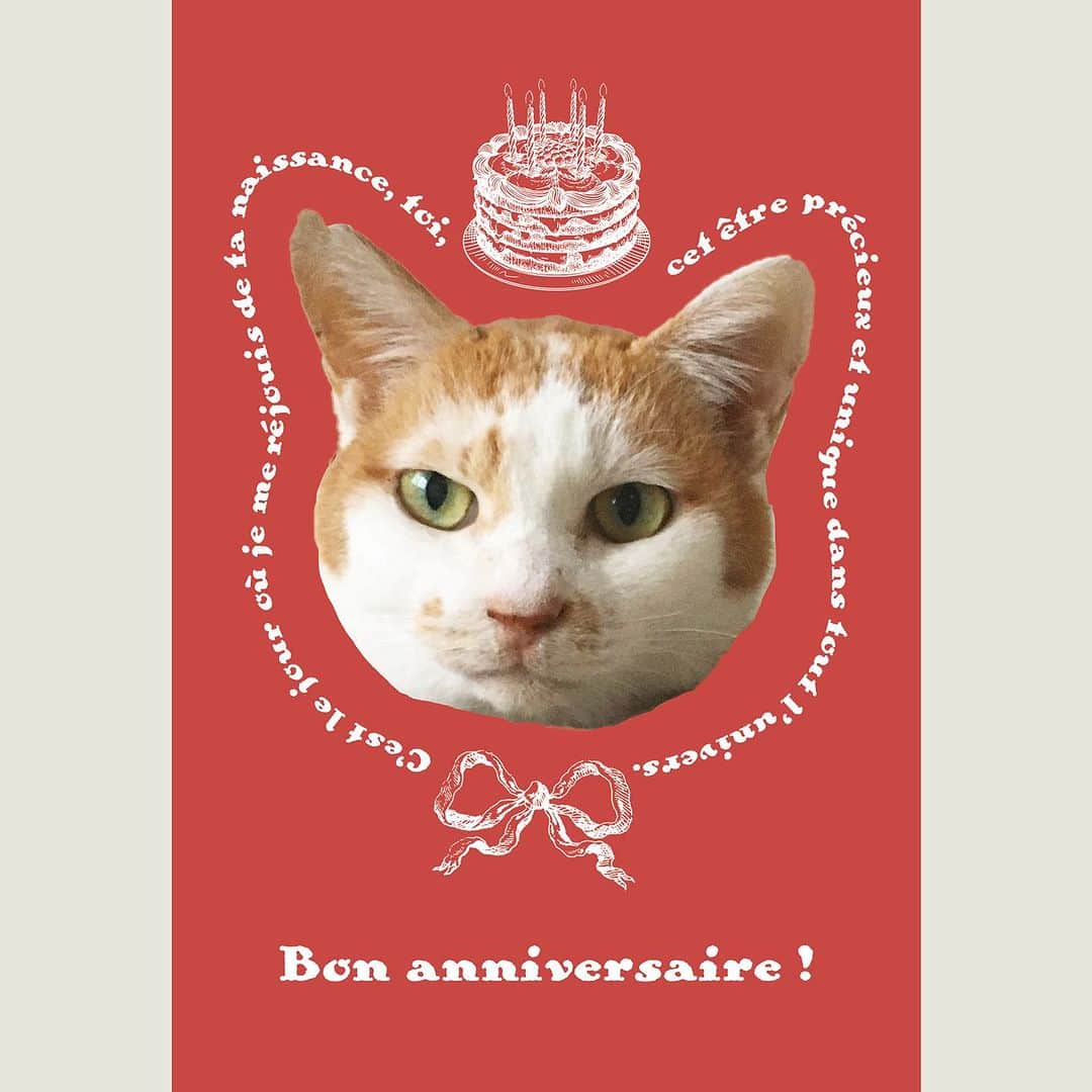 猫沢エミさんのインスタグラム写真 - (猫沢エミInstagram)「《猫沢組🎀POSTCARDBOOK》〜あなたがいてくれるなら、私は世界一幸せ。  今日の1枚は、イオちゃんのお誕生日カード🎂  🐾　🐾　🐾　🐾  お誕生日おめでとう。  宇宙でたったひとりの大切なあなたへ、生まれてきてくれてありがとうっていう日。  Bon anniversaire !  C’est le jour où je me réjouis de ta naissance, toi, cet être précieux et unique dans tout l’univers.  🐾　🐾　🐾　🐾  ◎2023年8月31日 TAC出版より発売。現在、Amazonでご予約受付中です❣️   ストーリーズ・ハイライト『猫沢組POSTCARD BOOK』2枚目にリンクあり。もしくはAmazon→「猫沢組」で検索を🔍  #猫沢組ポスカブック　#TAC出版　#猫沢イオ　#猫沢組　#猫パリ」7月11日 18時14分 - necozawaemi
