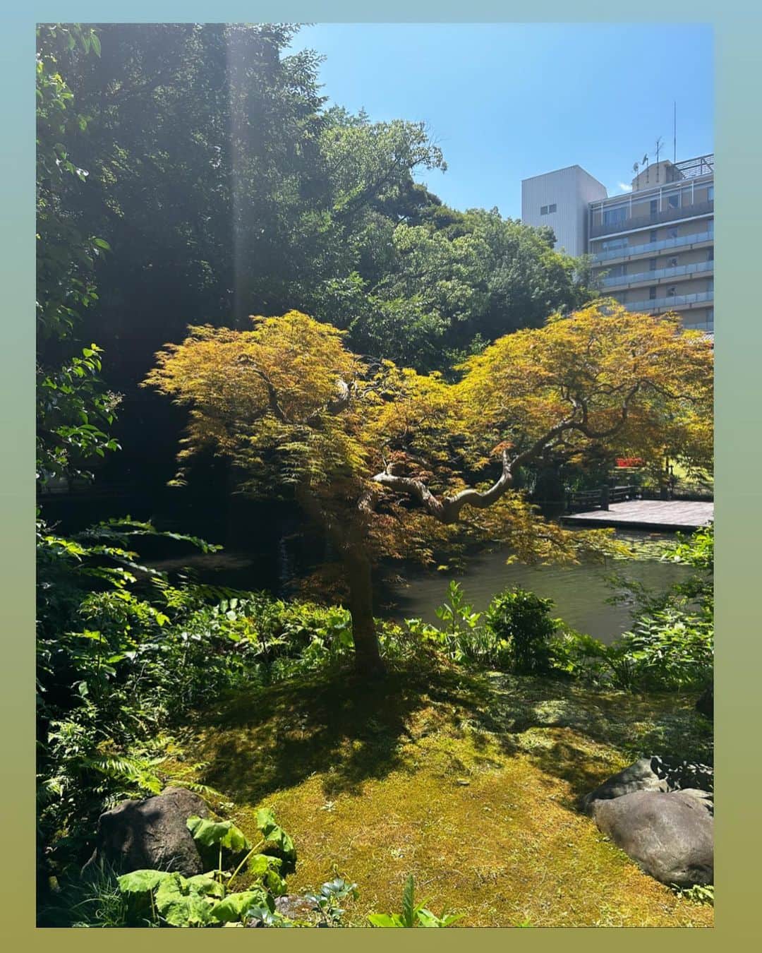 RINAさんのインスタグラム写真 - (RINAInstagram)「今日は　#美しいキモノ の撮影で静岡県に行きました。 暑かったけど🌞ちょっと旅をしてきた気分☺️ 素敵な撮影でした。 8月19日発売なので、是非見てみて下さい❤️ #静岡県  #浮月楼  #芹沢銈介美術館 #そば処戸隠 #きもの」7月11日 18時34分 - rina_karina0417