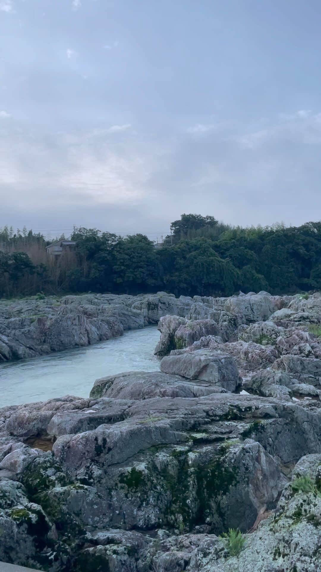 蓮沼執太のグルメインスタ