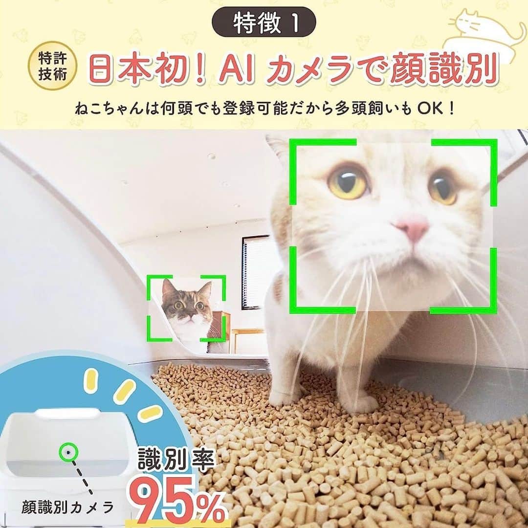 くれ?ぱと?もあ?あねさんのインスタグラム写真 - (くれ?ぱと?もあ?あねInstagram)「@toletta.cat のご紹介 ❤︎ 7月11日(火)0:00〜7月12日(水)23:59 Amazonでビッグセール開催中！ なんとAIスマートトイレのトレッタが半額になるセールを行なっています。 ❤︎ お値段本体のみだと6,980円→3,490円に！ ❤︎ トレッタはネコ友さんの“おしっこの病気がこのトレッタで早期発見できた”という投稿で知りました。 ❤︎ わが家も早速導入！ 早1年半が過ぎました。 多頭飼いでもAI顔認識技術でカメラがにゃんこのお顔を識別して、トイレの様子を動画と静止画で記録してくれるし、✨ その記録も家族内でトレッタのアカウントを共有できるから遠く離れた家族も一緒ににゃんこを見守ることができるんです✨ ❤︎ 気になってる方はストーリーズのリンクをクリックしてみてね☑️ ❤︎ #pr #トレッタ #ハイテクトイレ」7月11日 19時09分 - belly_mm