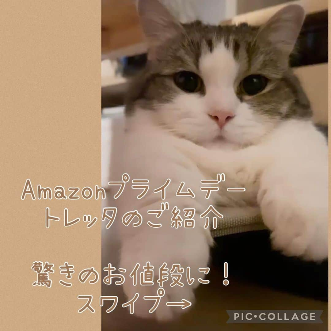 くれ?ぱと?もあ?あねさんのインスタグラム写真 - (くれ?ぱと?もあ?あねInstagram)「@toletta.cat のご紹介 ❤︎ 7月11日(火)0:00〜7月12日(水)23:59 Amazonでビッグセール開催中！ なんとAIスマートトイレのトレッタが半額になるセールを行なっています。 ❤︎ お値段本体のみだと6,980円→3,490円に！ ❤︎ トレッタはネコ友さんの“おしっこの病気がこのトレッタで早期発見できた”という投稿で知りました。 ❤︎ わが家も早速導入！ 早1年半が過ぎました。 多頭飼いでもAI顔認識技術でカメラがにゃんこのお顔を識別して、トイレの様子を動画と静止画で記録してくれるし、✨ その記録も家族内でトレッタのアカウントを共有できるから遠く離れた家族も一緒ににゃんこを見守ることができるんです✨ ❤︎ 気になってる方はストーリーズのリンクをクリックしてみてね☑️ ❤︎ #pr #トレッタ #ハイテクトイレ」7月11日 19時09分 - belly_mm