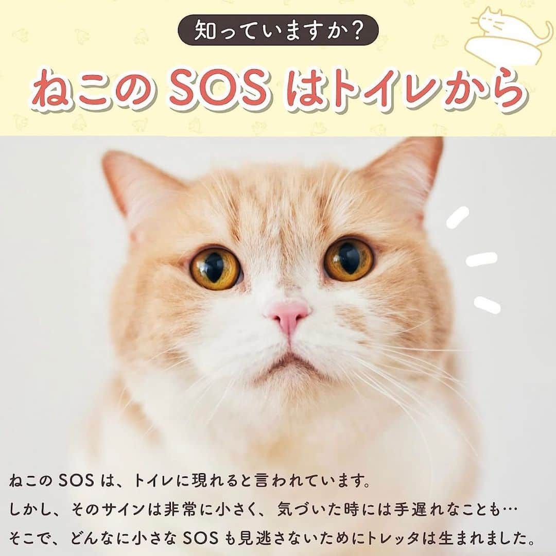 くれ?ぱと?もあ?あねさんのインスタグラム写真 - (くれ?ぱと?もあ?あねInstagram)「@toletta.cat のご紹介 ❤︎ 7月11日(火)0:00〜7月12日(水)23:59 Amazonでビッグセール開催中！ なんとAIスマートトイレのトレッタが半額になるセールを行なっています。 ❤︎ お値段本体のみだと6,980円→3,490円に！ ❤︎ トレッタはネコ友さんの“おしっこの病気がこのトレッタで早期発見できた”という投稿で知りました。 ❤︎ わが家も早速導入！ 早1年半が過ぎました。 多頭飼いでもAI顔認識技術でカメラがにゃんこのお顔を識別して、トイレの様子を動画と静止画で記録してくれるし、✨ その記録も家族内でトレッタのアカウントを共有できるから遠く離れた家族も一緒ににゃんこを見守ることができるんです✨ ❤︎ 気になってる方はストーリーズのリンクをクリックしてみてね☑️ ❤︎ #pr #トレッタ #ハイテクトイレ」7月11日 19時09分 - belly_mm