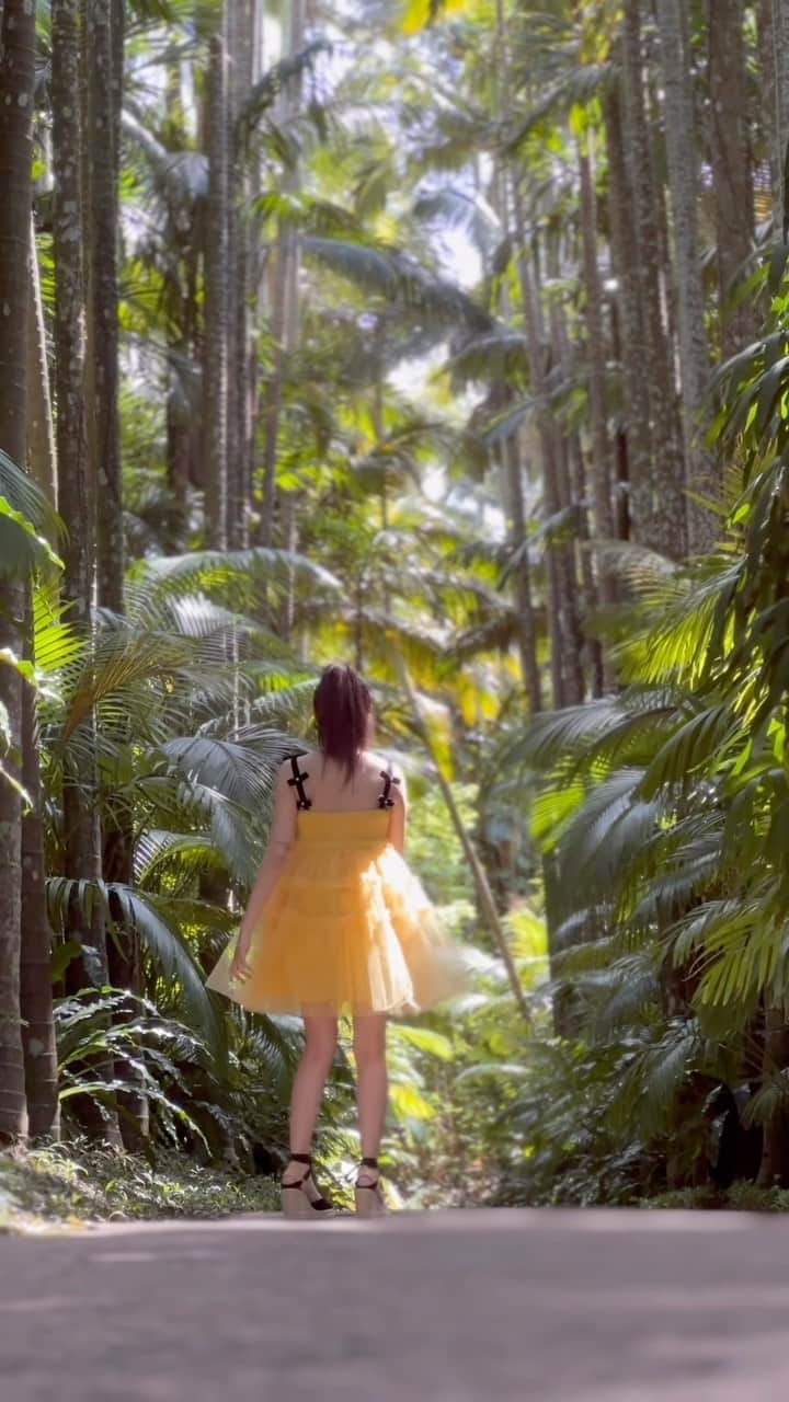 安西かれんのインスタグラム：「🌳💛🌳  写真集のオフショ、日々上げていくね🙃」