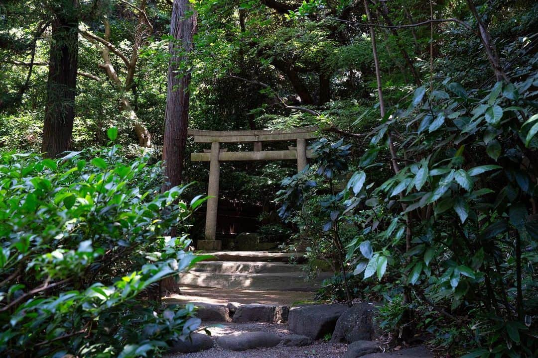 八芳園さんのインスタグラム写真 - (八芳園Instagram)「二十四節気「小暑」の訪れ。 八芳園では蝉の声が響き始めました。  涼やかな風が池の水面を撫で、 錦鯉の鮮やかな鱗が陽光に反射して輝きます。  都心にありながらも自然あふれる日本庭園で、 夏の風情をお愉しみください。  🍃✨🍃✨🍃  #八芳園 #結婚式場 #日本庭園  #happoen #初夏を楽しむフォトコンテスト2023  #二十四節気 #小暑 #錦鯉 #滝 #水辺 #夏 #日本の四季  #二十四節気 #カメラ部 #写真好きな人と繋がりたい #東京カメラ部 #その瞬間に物語を #風景写真 #日本家屋  #japanesegarden #japan_of_insta #japaneseculture #jp_views #special_spot #tokyo #japan_daytime_view #ig_jp #japanoinsta #japantravel #tokyotrip #tokyotokyo」7月11日 19時17分 - happoen