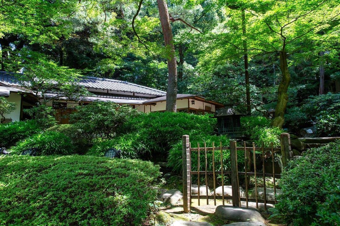 八芳園さんのインスタグラム写真 - (八芳園Instagram)「二十四節気「小暑」の訪れ。 八芳園では蝉の声が響き始めました。  涼やかな風が池の水面を撫で、 錦鯉の鮮やかな鱗が陽光に反射して輝きます。  都心にありながらも自然あふれる日本庭園で、 夏の風情をお愉しみください。  🍃✨🍃✨🍃  #八芳園 #結婚式場 #日本庭園  #happoen #初夏を楽しむフォトコンテスト2023  #二十四節気 #小暑 #錦鯉 #滝 #水辺 #夏 #日本の四季  #二十四節気 #カメラ部 #写真好きな人と繋がりたい #東京カメラ部 #その瞬間に物語を #風景写真 #日本家屋  #japanesegarden #japan_of_insta #japaneseculture #jp_views #special_spot #tokyo #japan_daytime_view #ig_jp #japanoinsta #japantravel #tokyotrip #tokyotokyo」7月11日 19時17分 - happoen