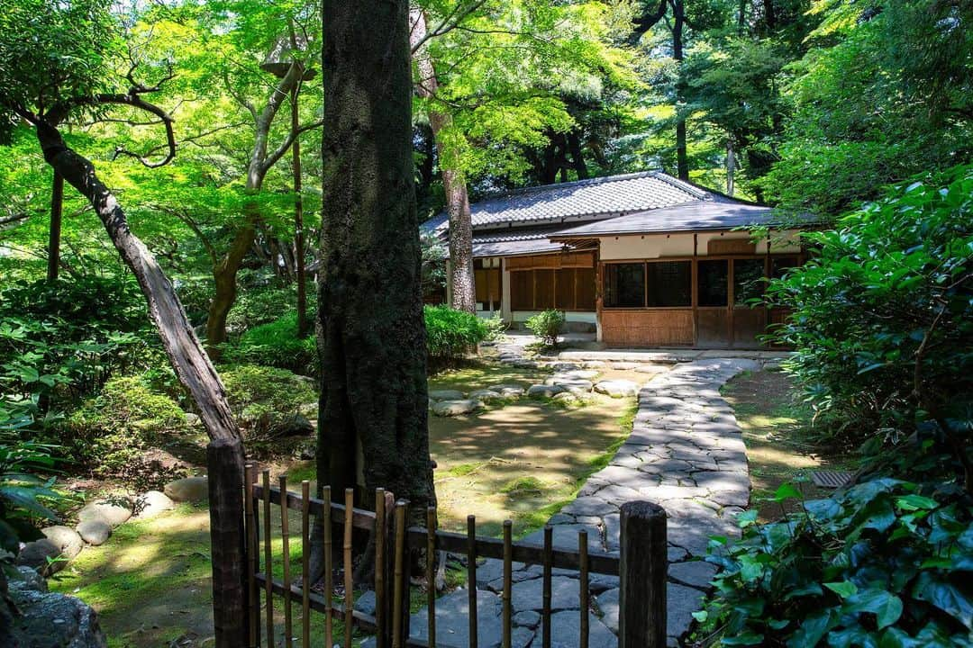 八芳園さんのインスタグラム写真 - (八芳園Instagram)「二十四節気「小暑」の訪れ。 八芳園では蝉の声が響き始めました。  涼やかな風が池の水面を撫で、 錦鯉の鮮やかな鱗が陽光に反射して輝きます。  都心にありながらも自然あふれる日本庭園で、 夏の風情をお愉しみください。  🍃✨🍃✨🍃  #八芳園 #結婚式場 #日本庭園  #happoen #初夏を楽しむフォトコンテスト2023  #二十四節気 #小暑 #錦鯉 #滝 #水辺 #夏 #日本の四季  #二十四節気 #カメラ部 #写真好きな人と繋がりたい #東京カメラ部 #その瞬間に物語を #風景写真 #日本家屋  #japanesegarden #japan_of_insta #japaneseculture #jp_views #special_spot #tokyo #japan_daytime_view #ig_jp #japanoinsta #japantravel #tokyotrip #tokyotokyo」7月11日 19時17分 - happoen