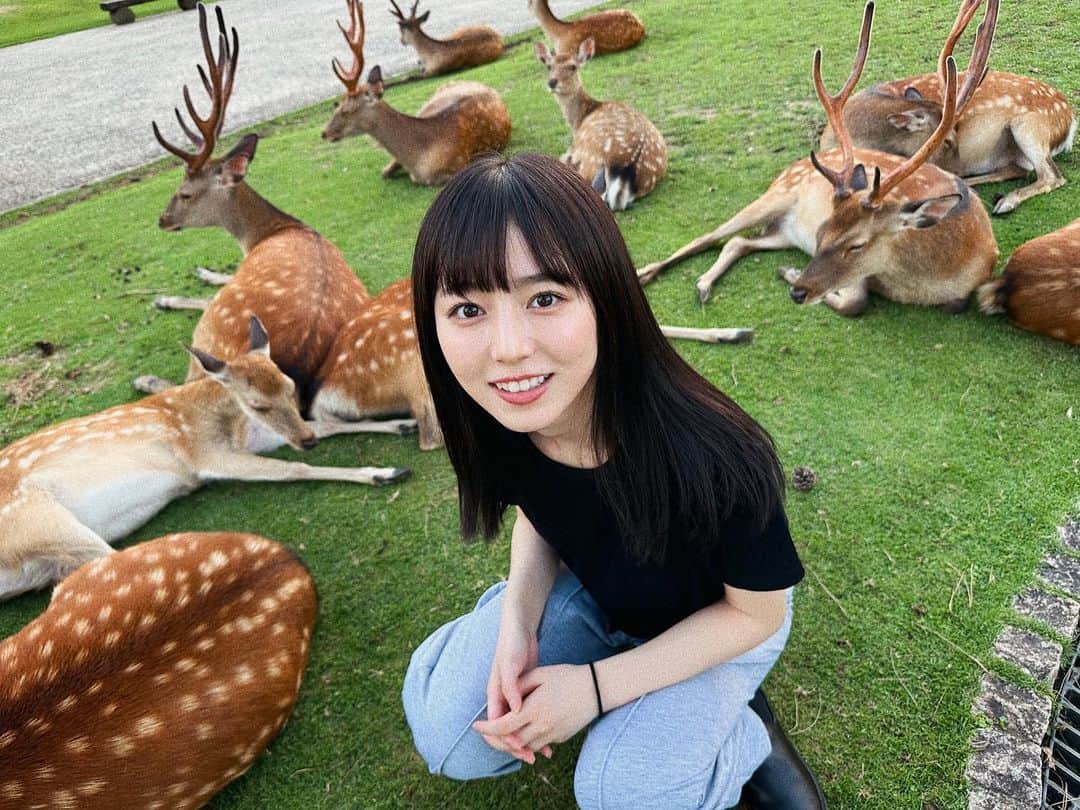 神野友亜のインスタグラム：「皆さま、こんばんは。  今日は奈良県で撮影でした🦌 夕方の鹿さんはみんな眠たそうでした🦌 かわいかった…。  本日もお疲れ様です‼︎」