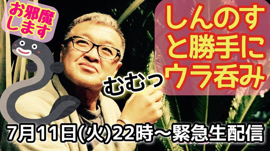 古本新乃輔さんのインスタグラム写真 - (古本新乃輔Instagram)「さてさて ちょこっとだけですが 緊急生配信をさせて頂きます。  そんな長い時間はやりませんので、 明日もありますんでサクっとお届けさせて頂きます。  いやはや 急にアレが届いてしまったモノで。 で、今週末が立て混んでおりますモンで。  お手隙かもな皆様、 よろぴくお付き合い下さい！  【しんのすと勝手に緊急ウラ呑み】 https://youtube.com/live/3Xa5jR5f7B0  #YouTube  #しんのす家  #しんのすと勝手にウラ呑み  #うなぎ」7月11日 19時51分 - shinnosukefurumoto