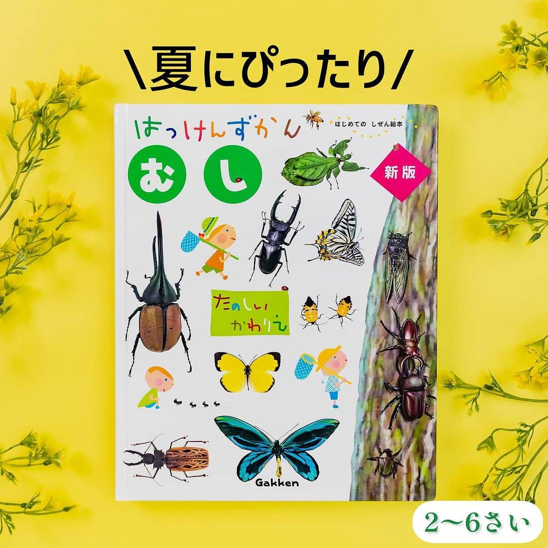 学研ゼミ【公式】のインスタグラム：「まどをどんどん開けて、虫たちのひみつをはっけん🔍 はじめての図鑑に！『はっけんずかん　むし』  しかけをめくると、 #カブトムシ が #ノコギリクワガタ を投げる‼️ #トノサマバッタ が、大ジャーンプ‼️  累計160万部のベストセラー #図鑑 『 #はっけんずかん 』シリーズから、 今回は、夏休みの #昆虫 採集の友・ 『はっけんずかん　むし』をご紹介します🐝  この『 #はっけんずかんむし 』は、 草むらや、地面、水辺などの リアルな見開きイラストに、 まどあきしかけがいっぱい🪟  めくってみると、 #虫 たちがダイナミックに動いたり 名前や生態、特徴がわかったり。 お部屋の中でも 昆虫採集気分が味わえます🔍  イラストのしかけページと、 実際の写真＋詳しい解説の標本ページで 交互に構成されているので、 飽きずに、楽しく知識が身につきます。  普段よく見る身近な虫から、 #ホタル や #チョウ など季節の虫の生態、 大人気の、世界のびっくり虫までを掲載。 全てひらがな表記で 丈夫な厚紙製なので 長い期間楽しめます！ #虫好き キッズも大満足の一冊です🎓   『はっけんずかん　むし　新版』 おすすめの年齢：２歳～６歳 #Gakken #学研の絵本 #絵本 @gakken_ehon」