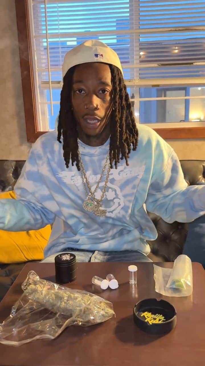 ウィズ・カリファのインスタグラム：「What a wild ass fuckin crowd.   DayToday Tour Vlog. Tune in all summmer 🍄✌🏾💜🫵🏽」