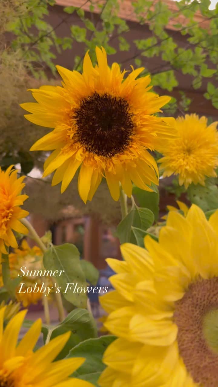 ホテル椿山荘東京のインスタグラム：「. Summer Lobby's Flowers🌻🌻🌻 ホテルロビーの装花も夏仕様に。 ひまわりの明るい華やかさを皆さまへお届けいたします！  @hotelchinzansotokyo_official  @hotelchinzansotokyo_wedding  #lobbyflowers #hotellobby #flowers  #ロビー装花 #ホテルロビー #ひまわり #向日葵」