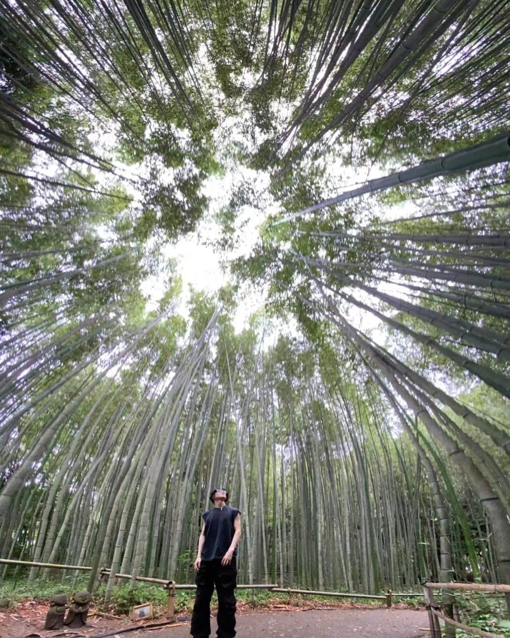 滝澤諒さんのインスタグラム写真 - (滝澤諒Instagram)「15cmほどのタケノコも２ヶ月くらいでこれくらい成長するんだって  知ってた？  京都、おいでよ。  #京都 #vlog #資産家 #滝澤諒」7月11日 21時22分 - ryo_takizawa